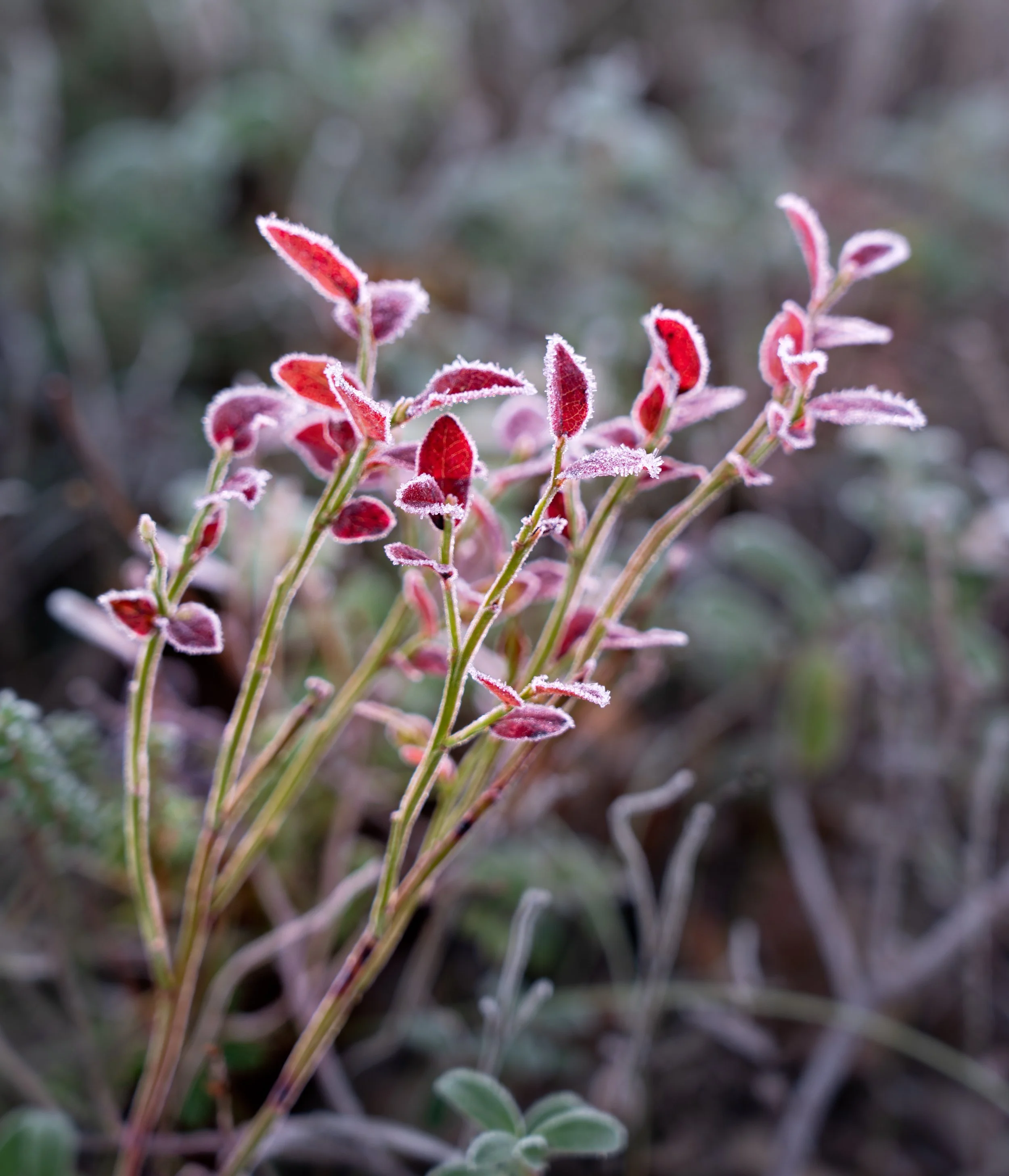 Norway-20240928-732-Edit.jpg