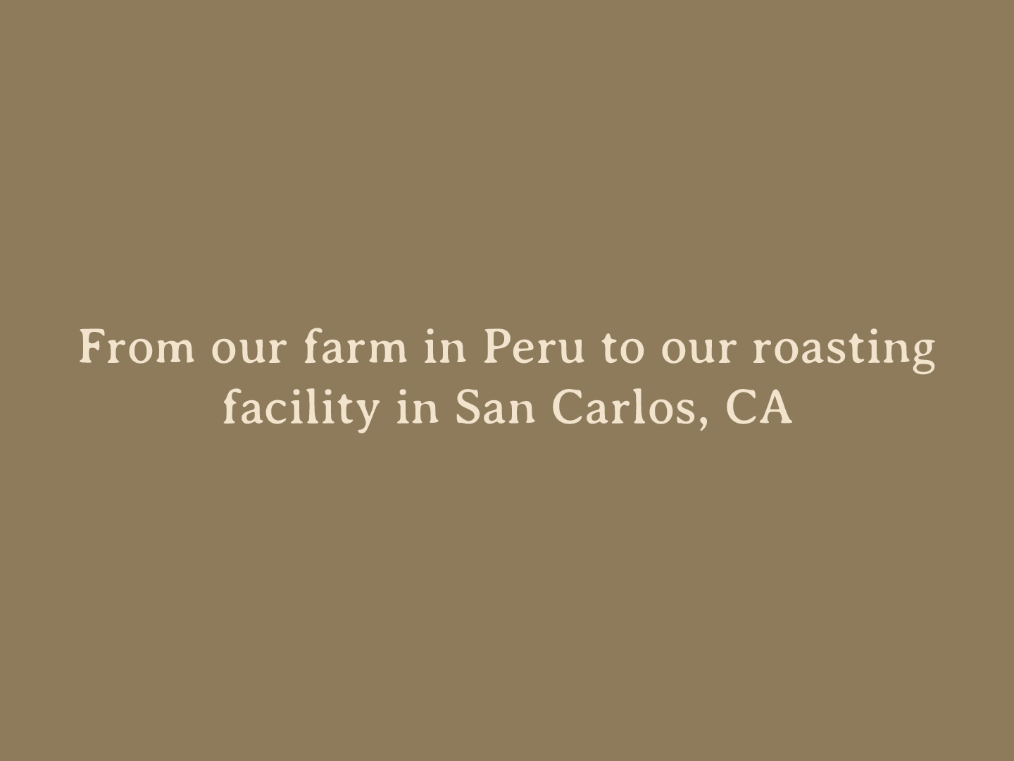 Papachay_Typography.gif