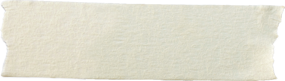A blank torn piece of paper with rough edges.