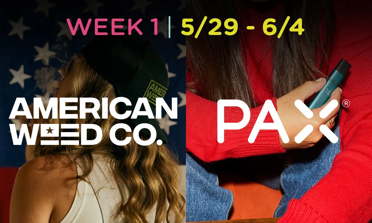 WeBelong_Week1.jpg