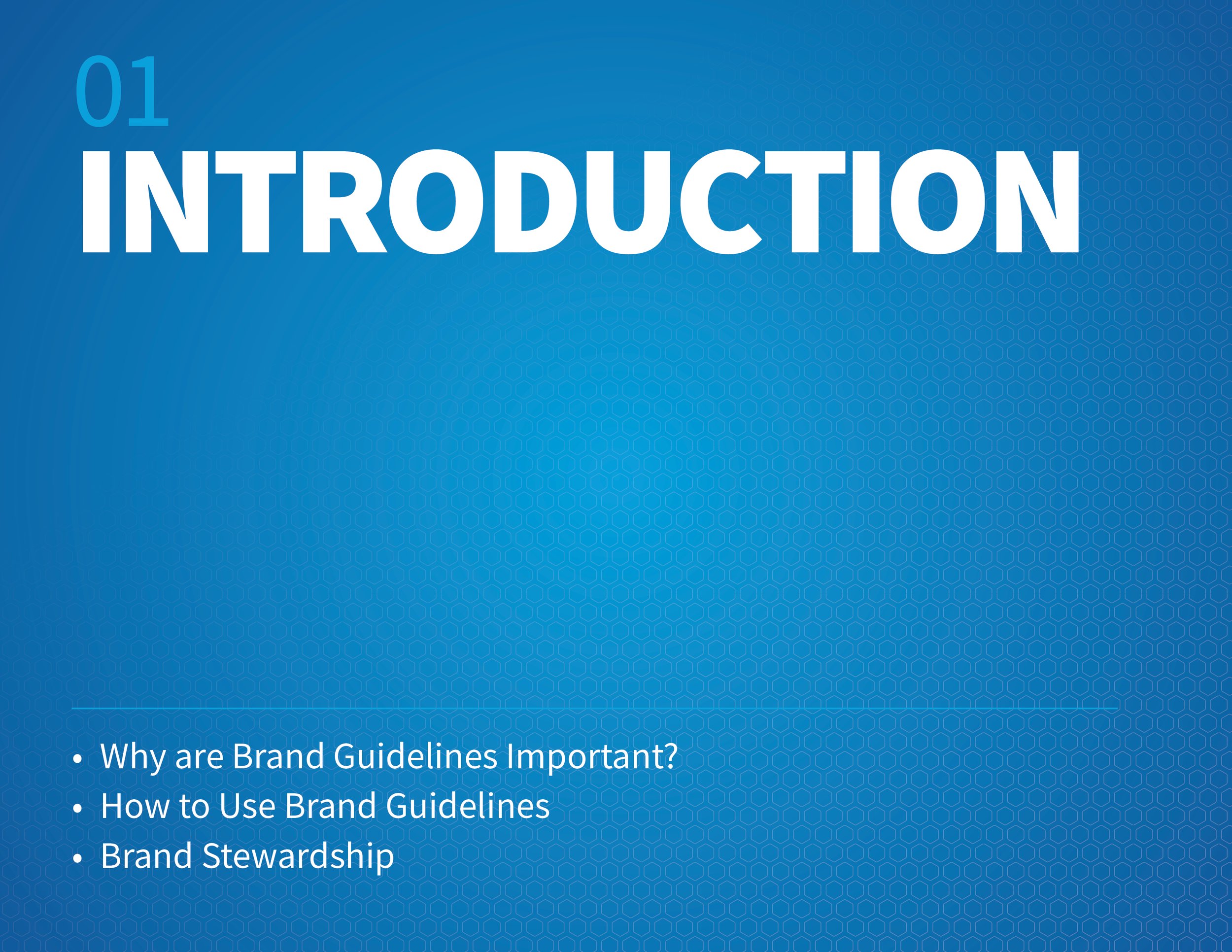CHS_BrandGuidelines3.jpg