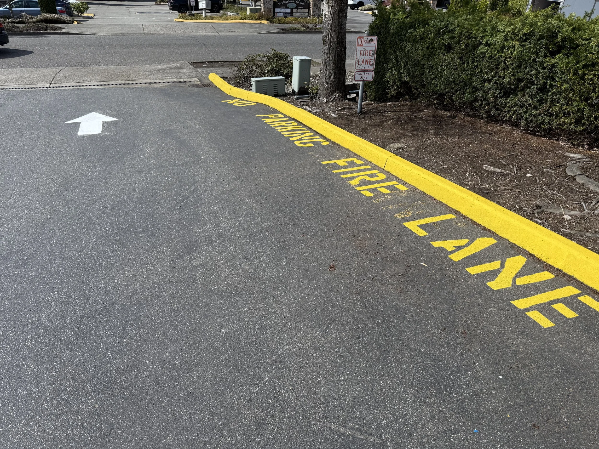 A parking lot with a yellow fire lane curb painted with the words 'FIRE LANE' and an upward arrow. There are parked cars, a tree, a sign that states 'NO PARKING FIRE LANE' and some bushes in the background.
