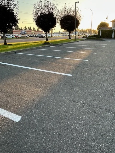 Empty parking lot with white parking space lines, trees, and a row of parked cars in the background during sunset.