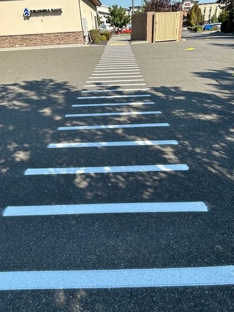Empty parking lot with painted white lines marking parking spaces in the foreground, shadows of trees cast on the asphalt, buildings and trees in the background.