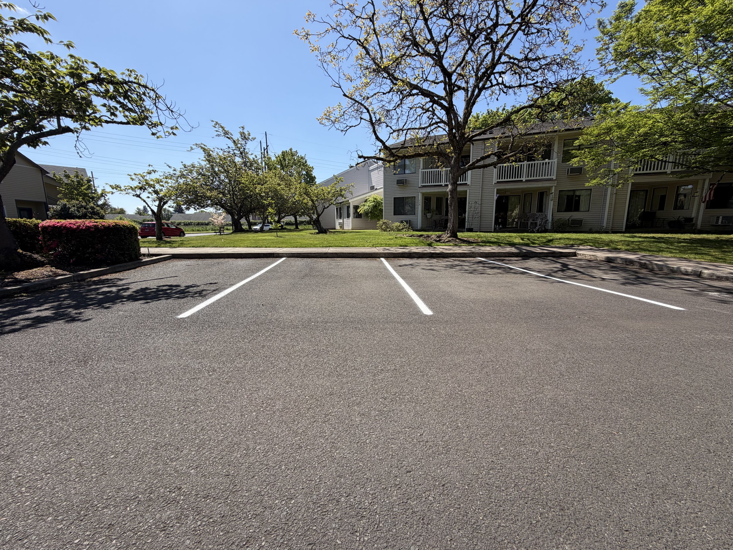 Empty parking lot with white lines, grass, trees with green leaves, and a residential building with balconies under a clear blue sky.
