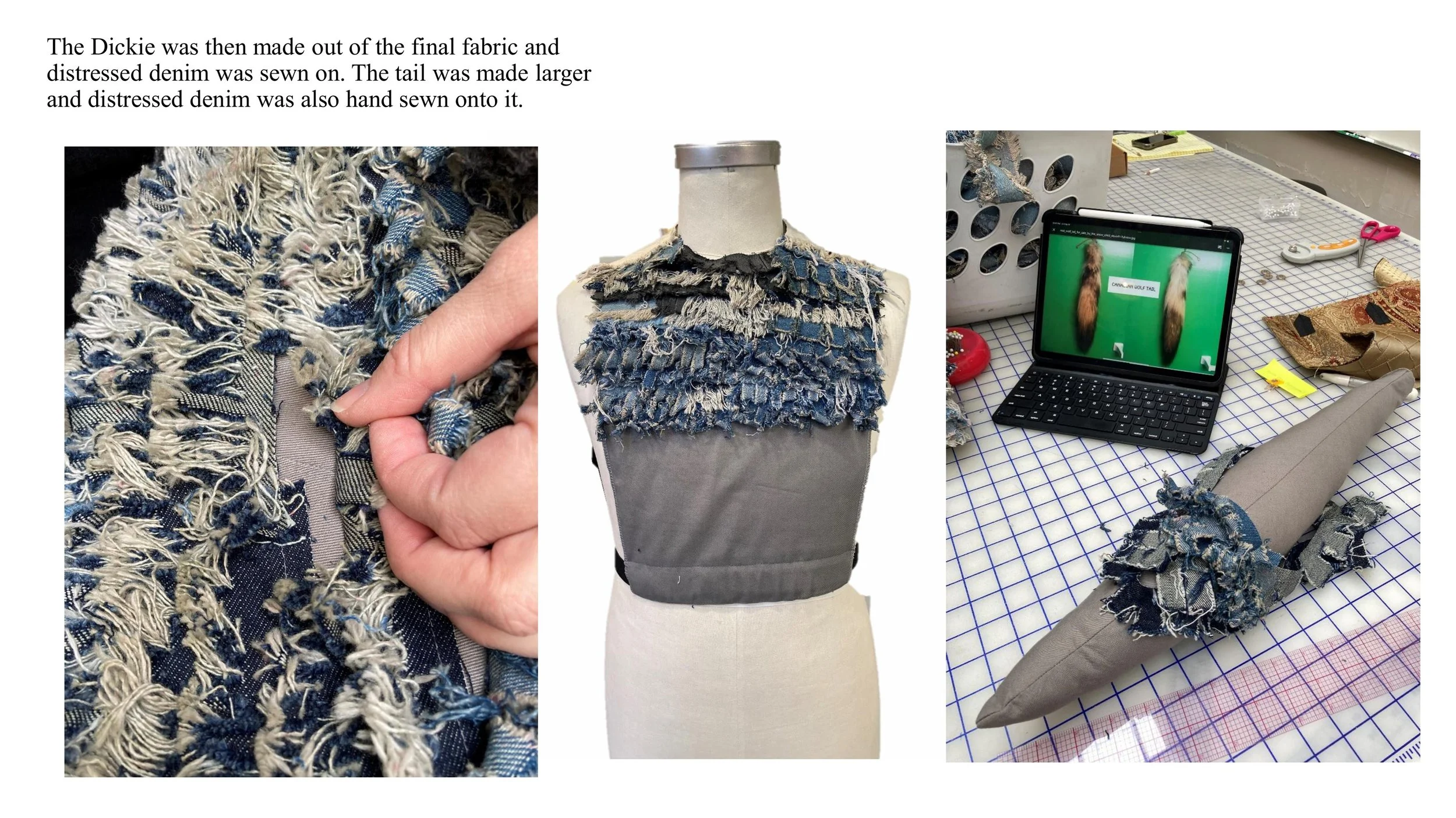 Senior Thesis-images-23.jpg