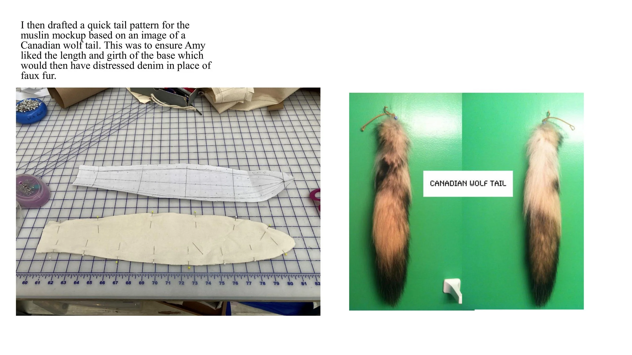 Senior Thesis-images-11.jpg