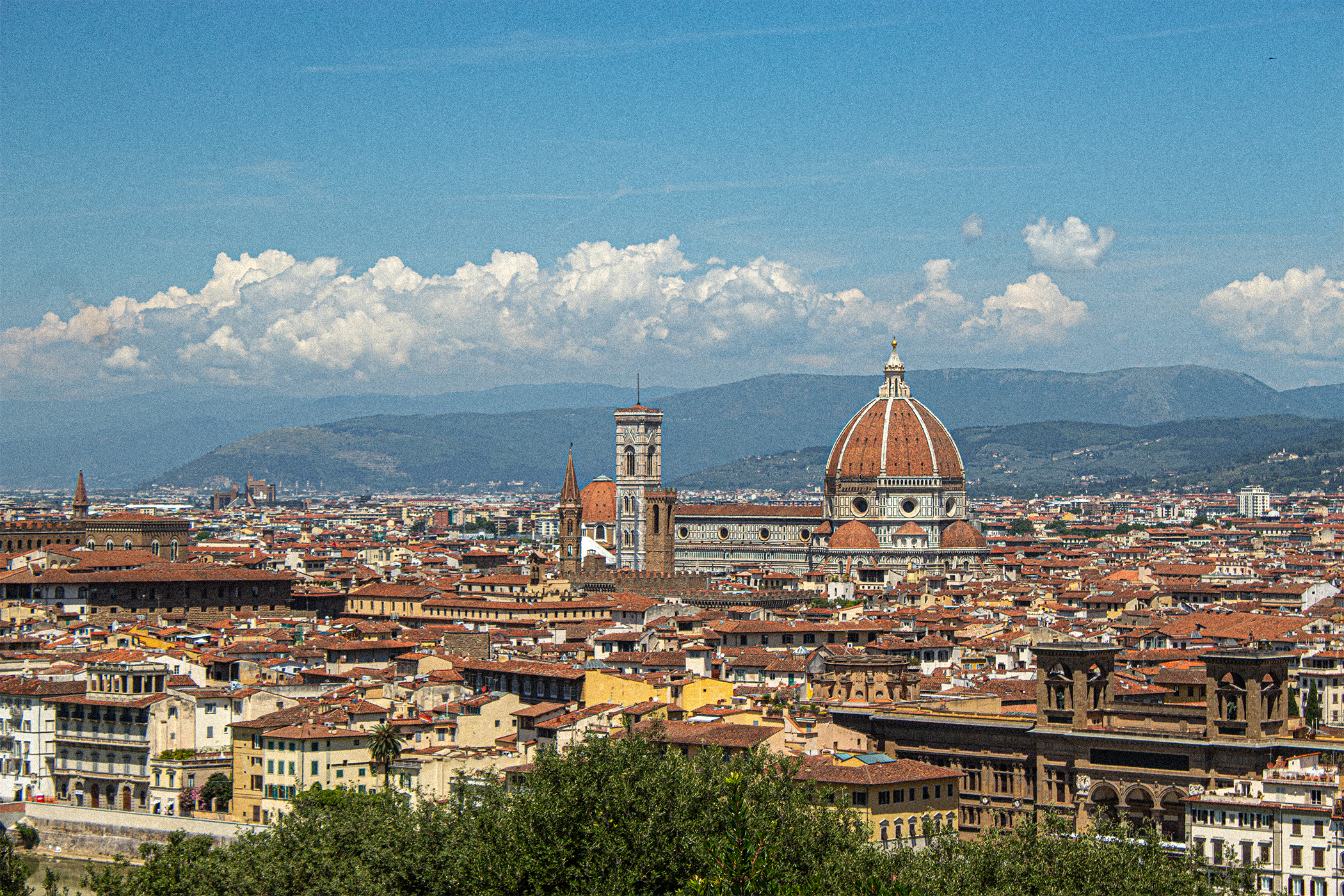 Florence.png