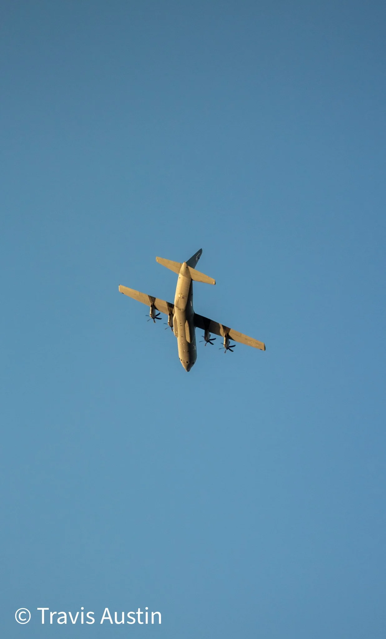 IMG_8132-2.jpg