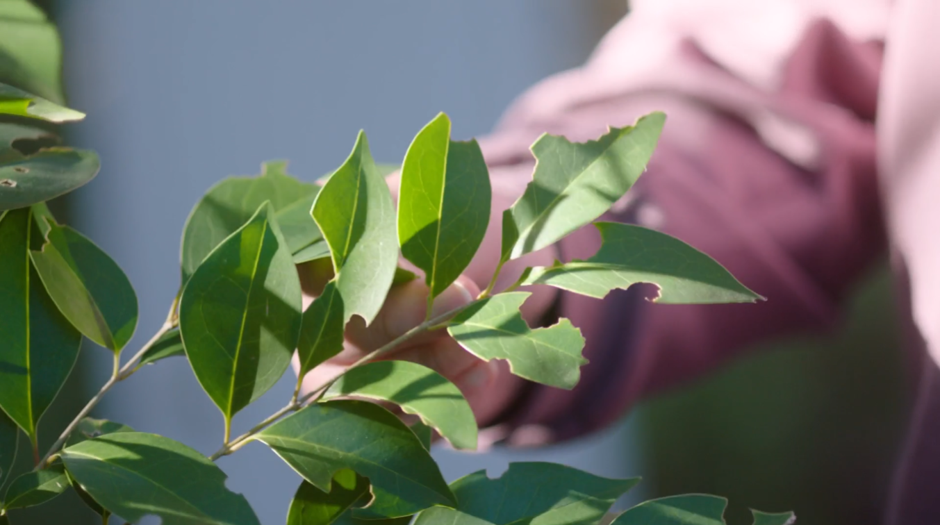 Screenshot 2026-04-20 112125.png