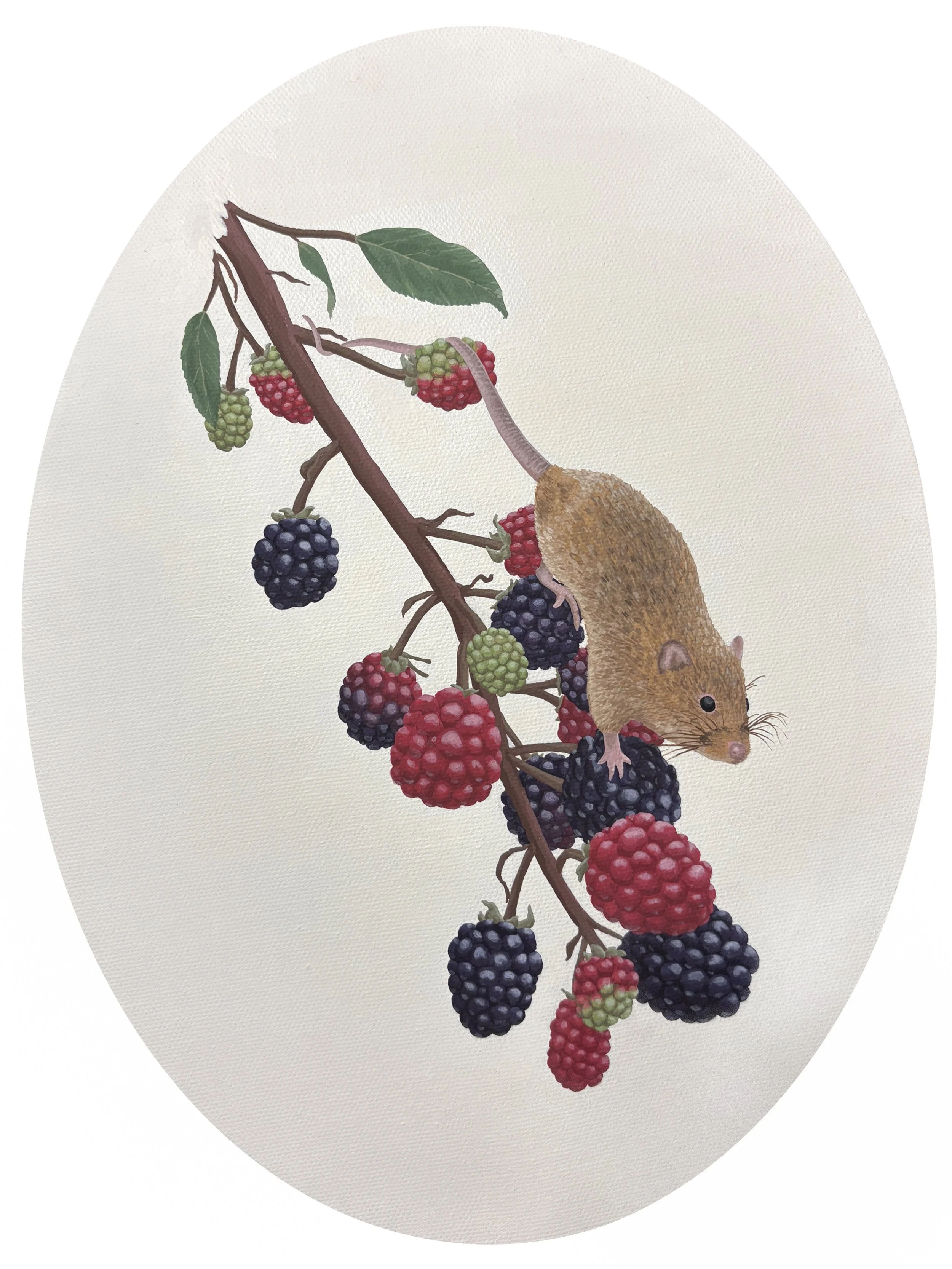 Mouse and Berries