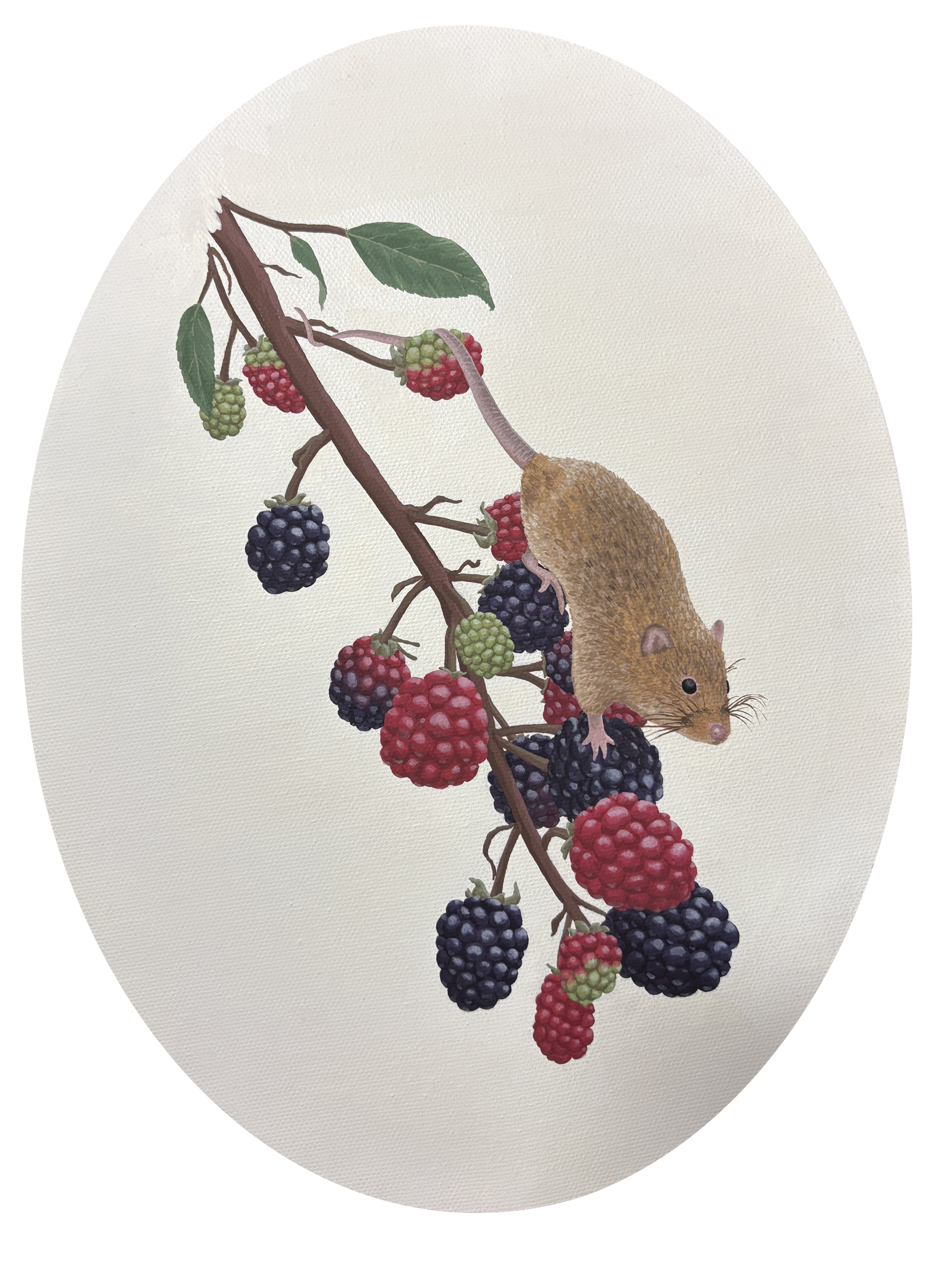 Mouse and Berries
