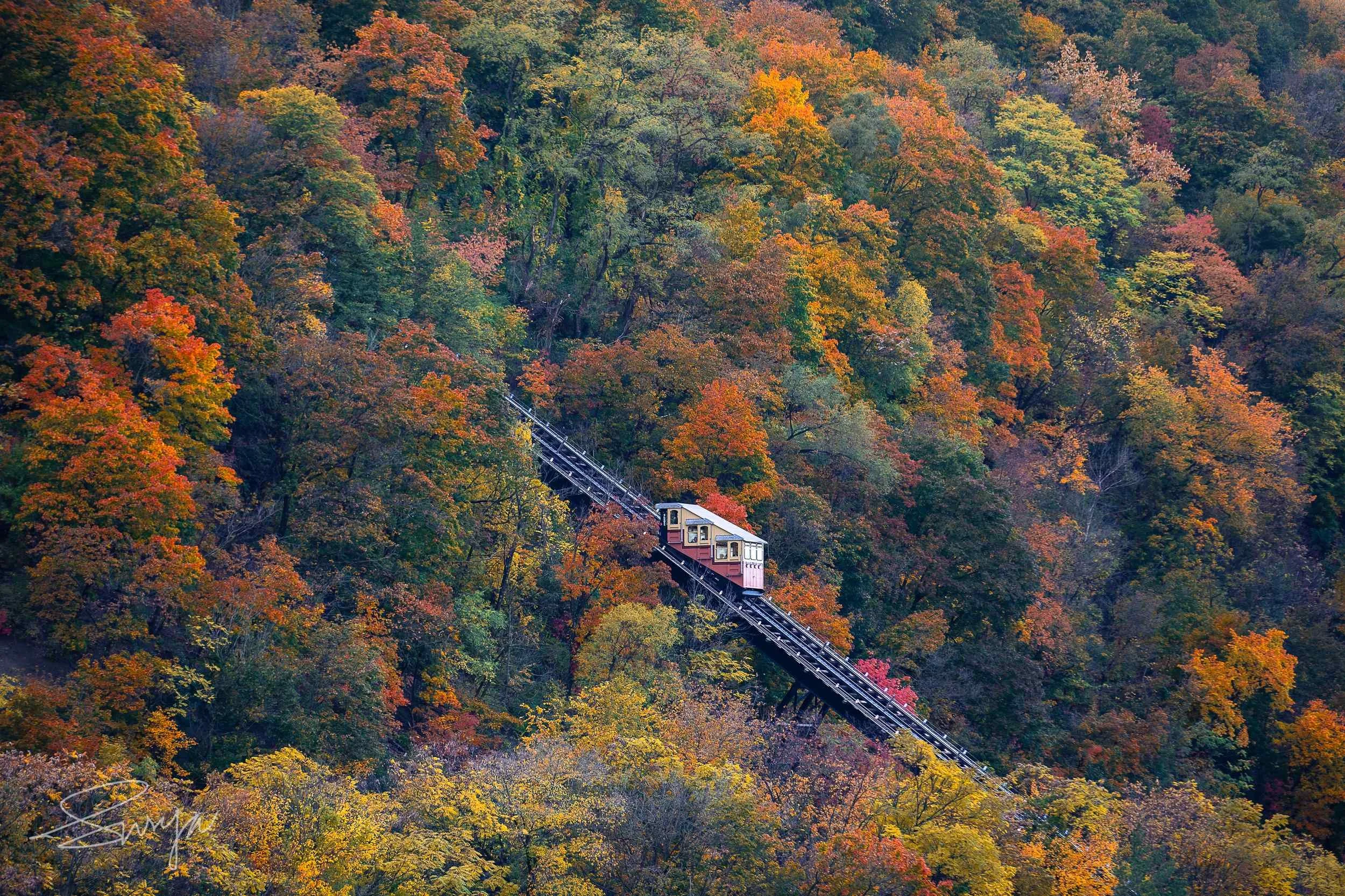 Aerial view of a train traveling through a forest with colorful fall foliage, including red, orange, yellow, and green trees.