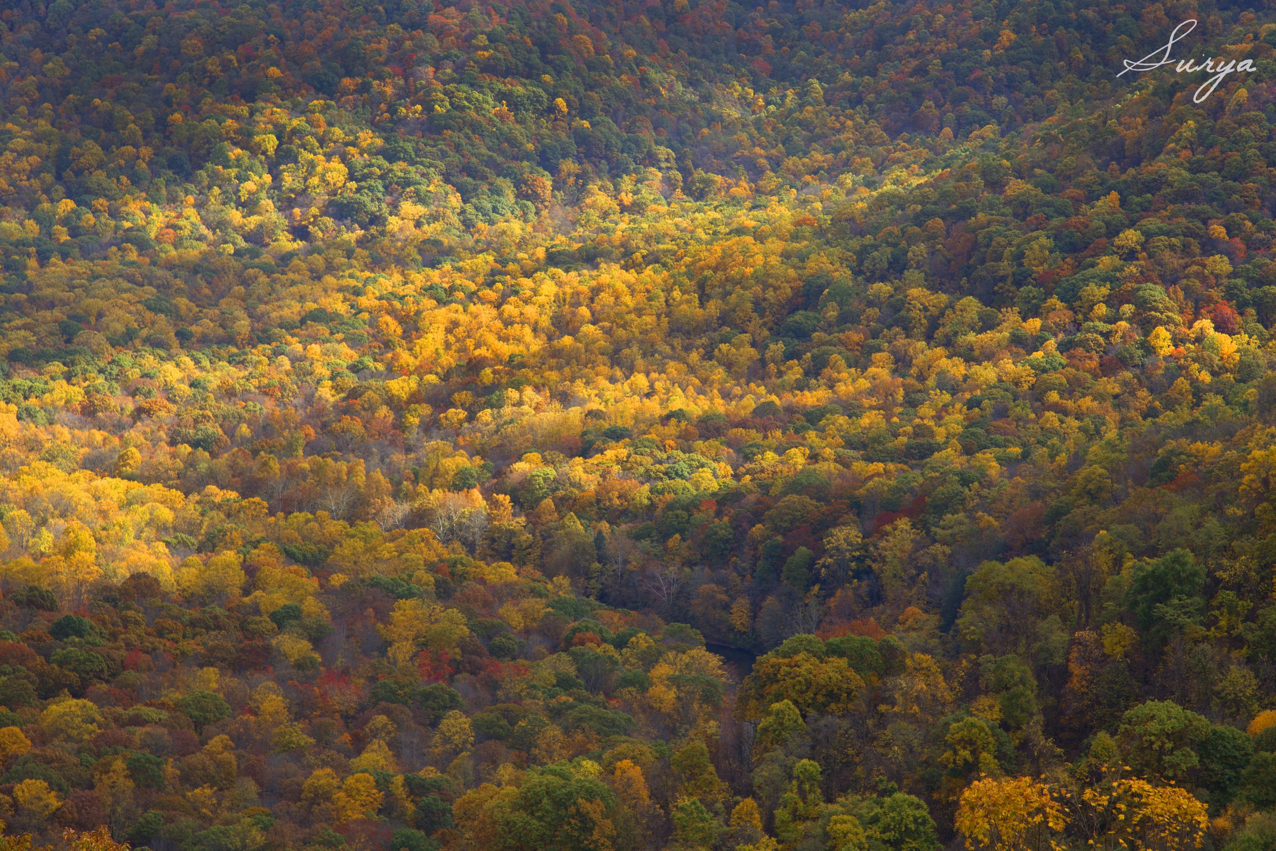 OHIOPYLE.jpg