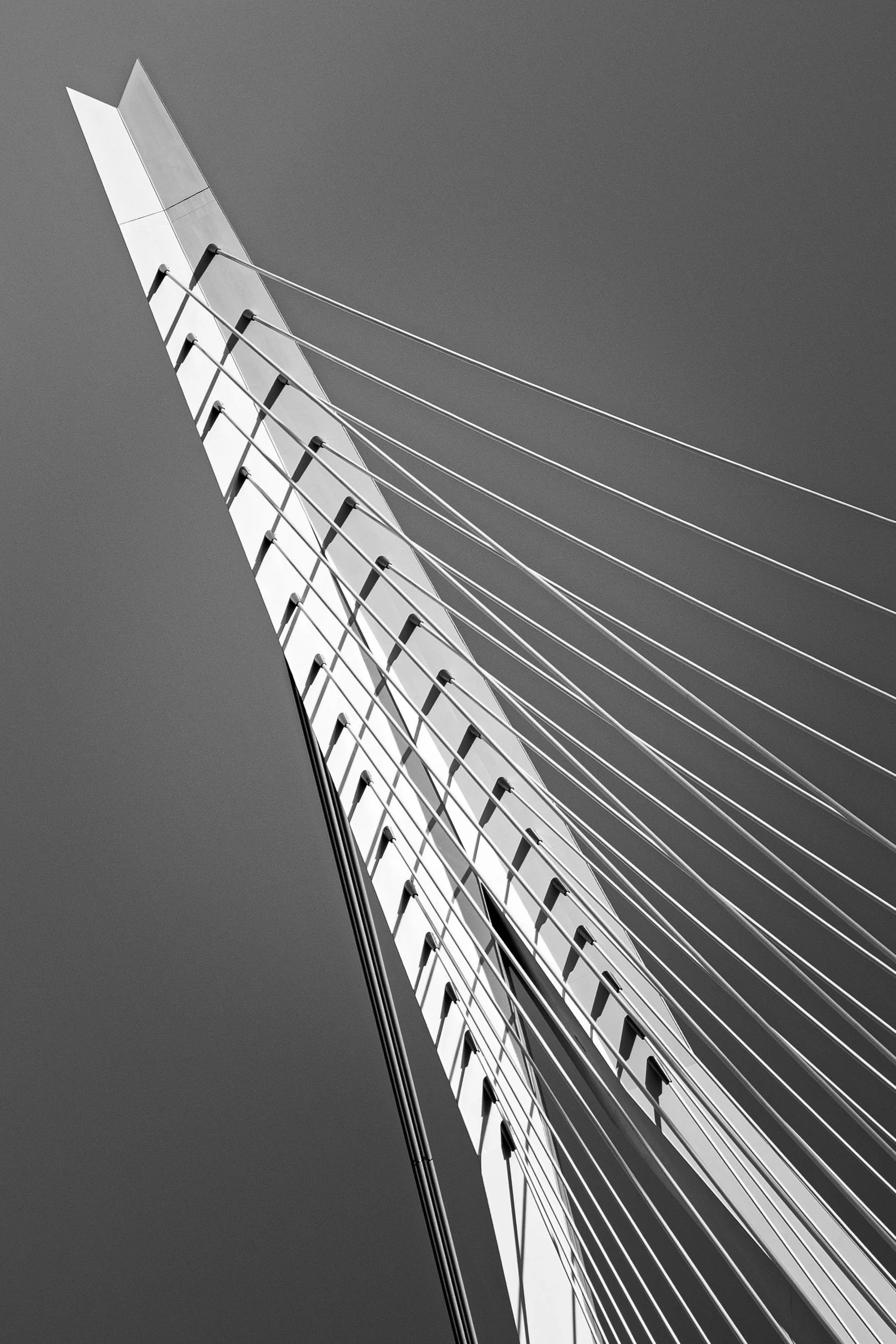 MAe__20260328_Rotterdam cursus LR_0003.jpg