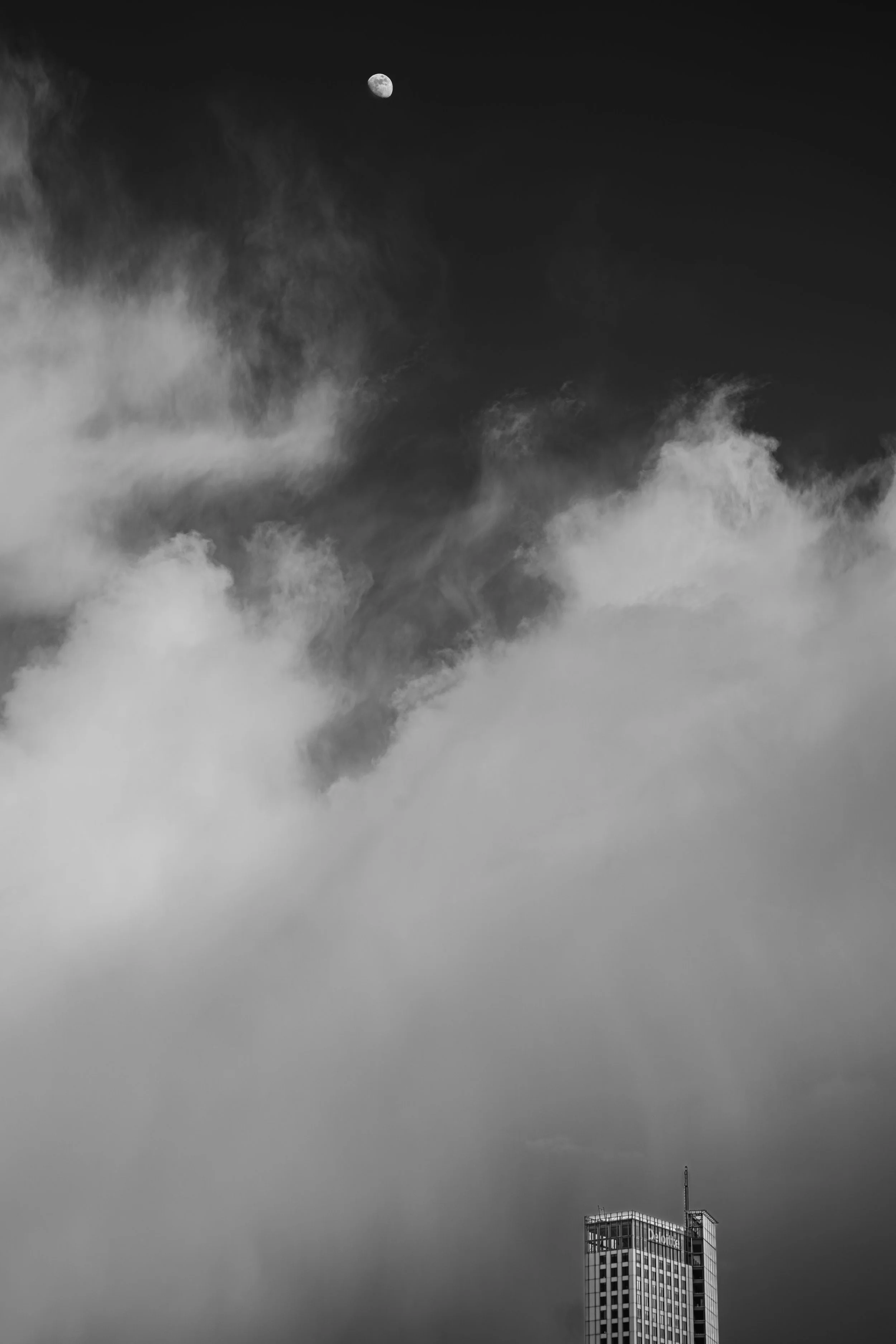 MAe__20260328_Rotterdam cursus LR_0074.jpg