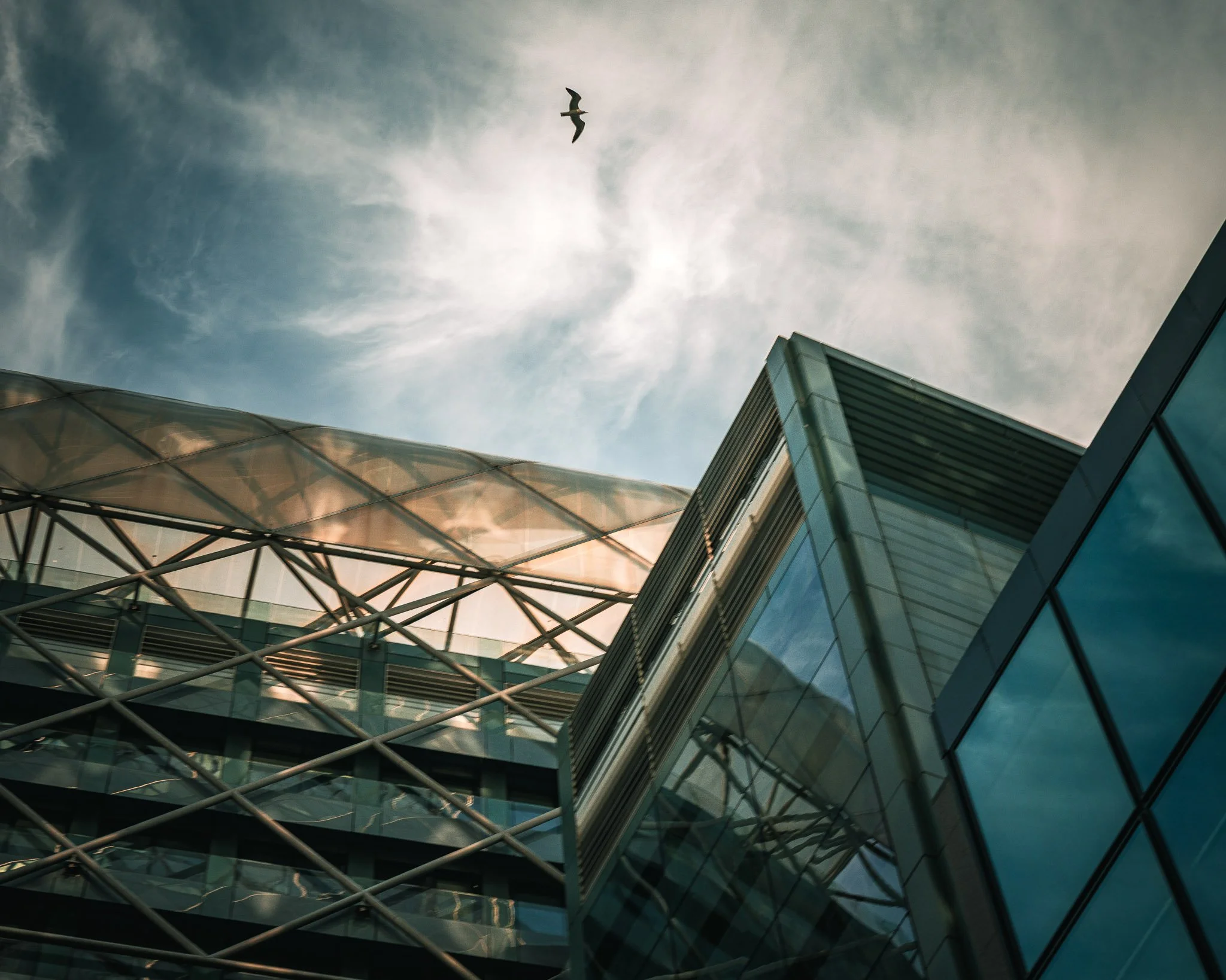 Een sky shot van een modern gebouw met veel glas en metalen constructies, onder een bewolkte hemel met een overvliegende vogel.