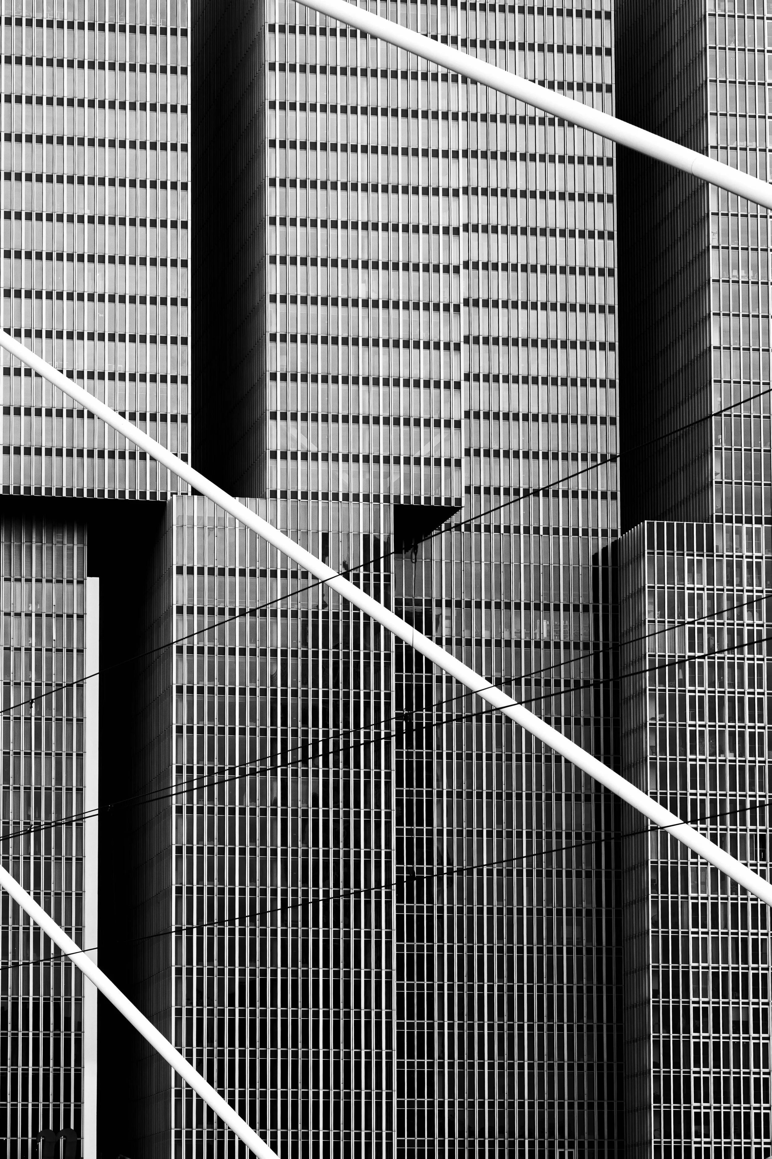 MAe__20260328_Rotterdam cursus LR_0067.jpg