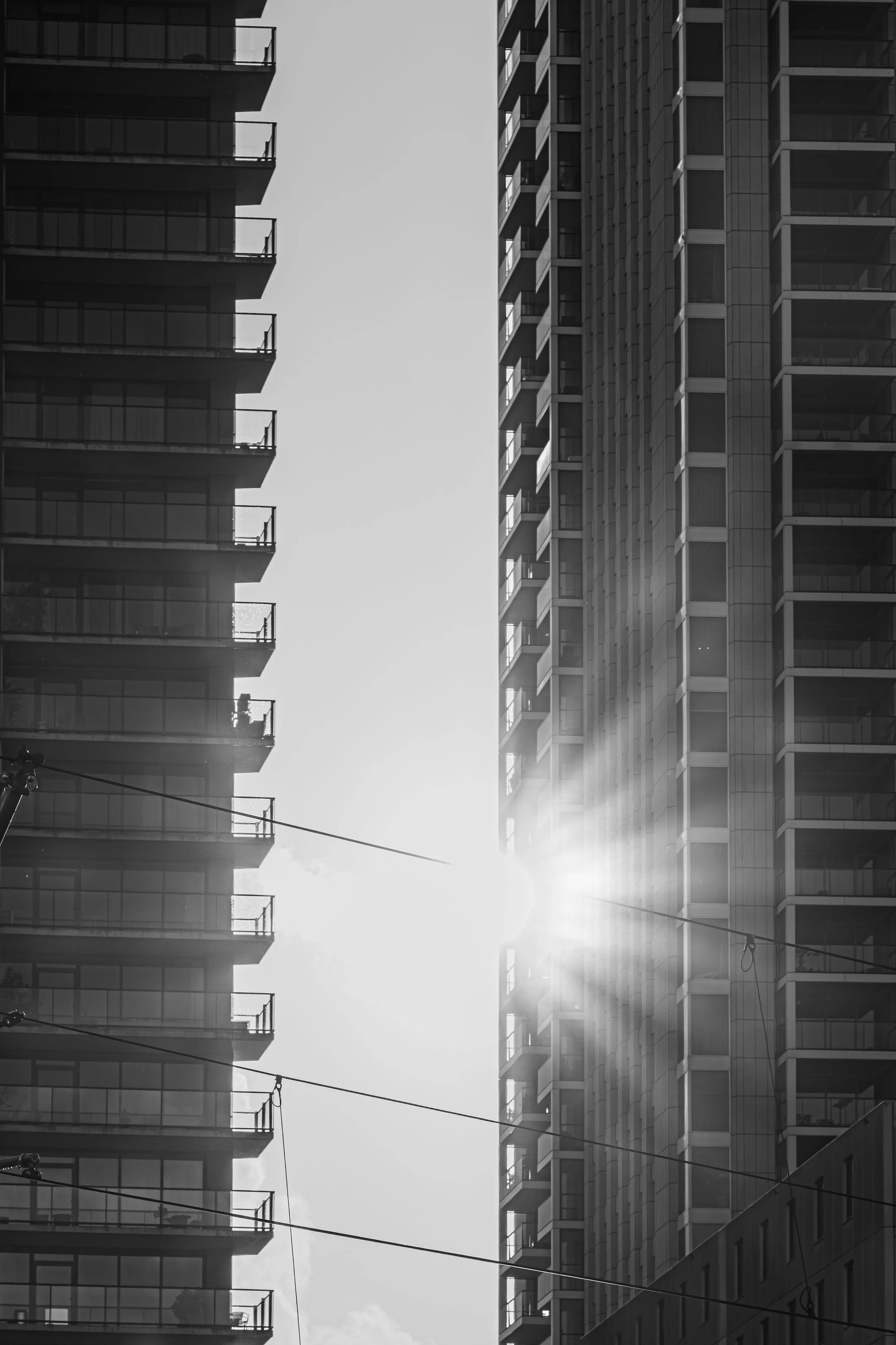 MAe__20260328_Rotterdam cursus LR_0006.jpg