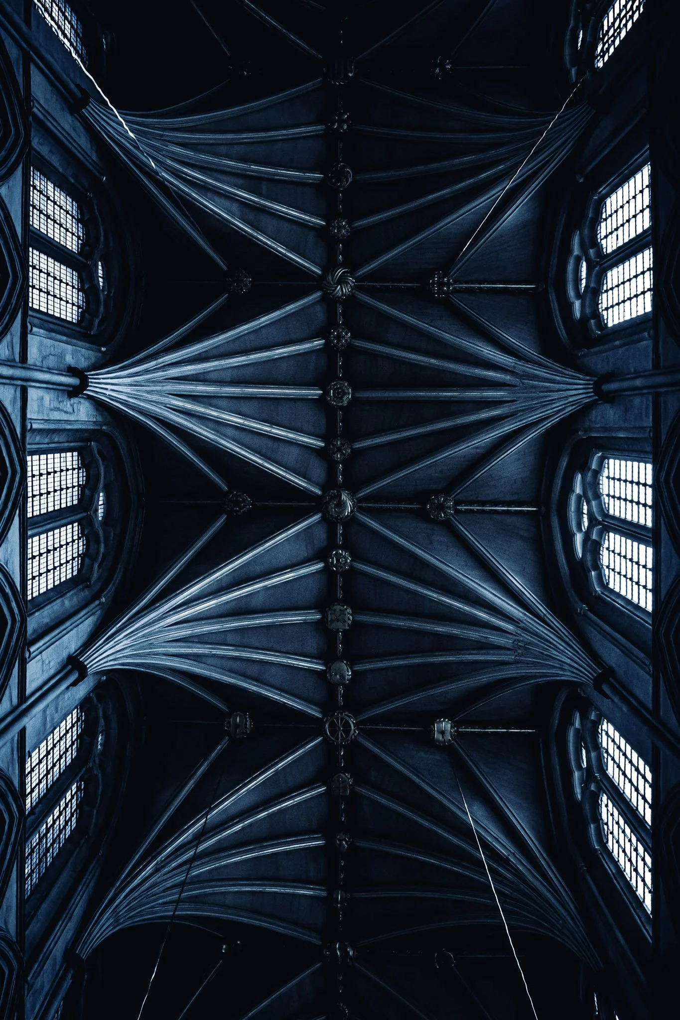 Het plafond van een kathedraal met gotische ramen en sierlijke gewelven, in een donkere kleur met een mysterieuze sfeer.