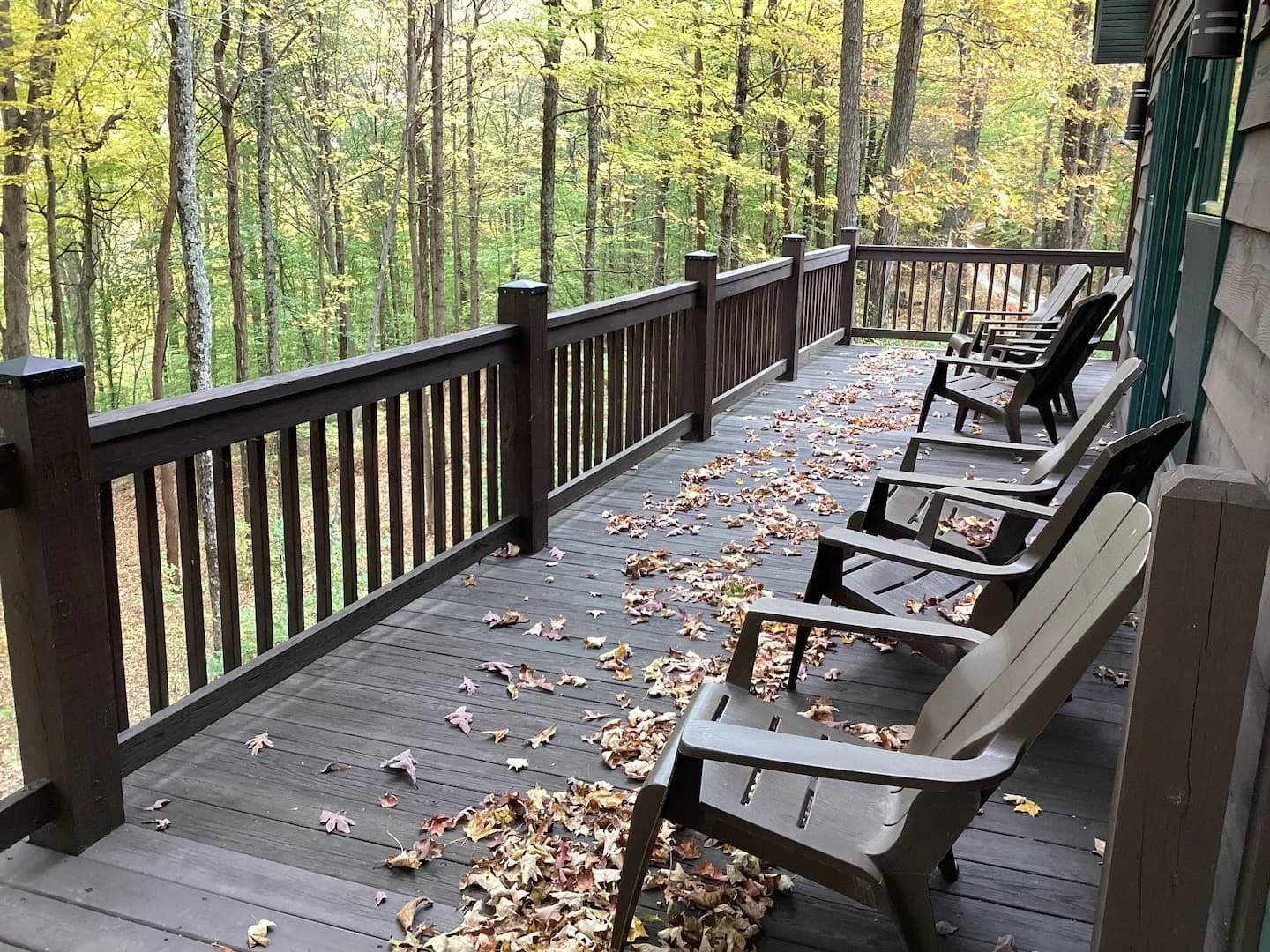 A wooden deck with a black railing and several chairs, with fallen autumn leaves scattered on the deck, overlooking a forest of tall trees with green and yellow foliage.