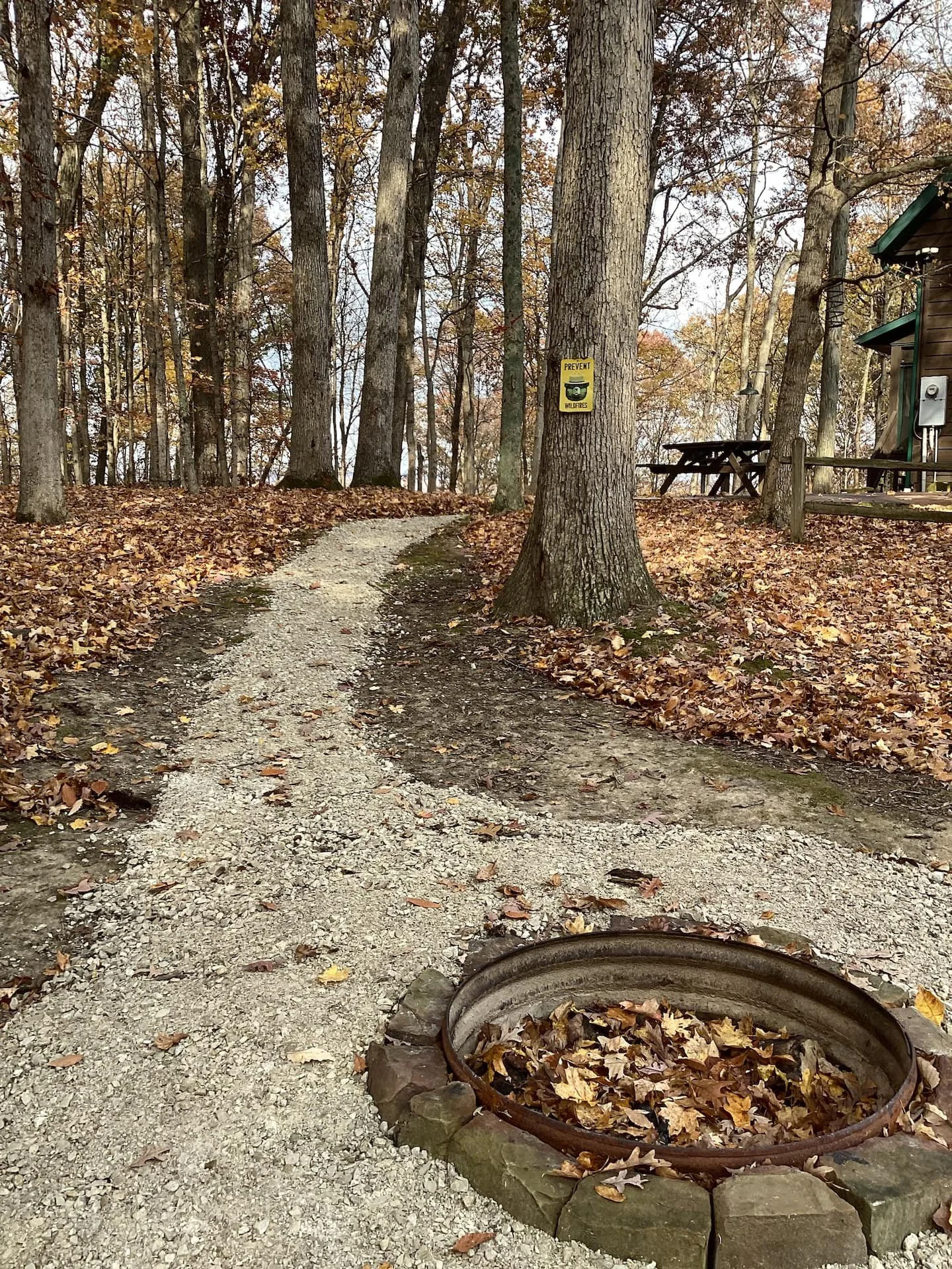A forest trail with fallen leaves, a fire pit filled with leaves, and a sign on a tree warning about wildfires.