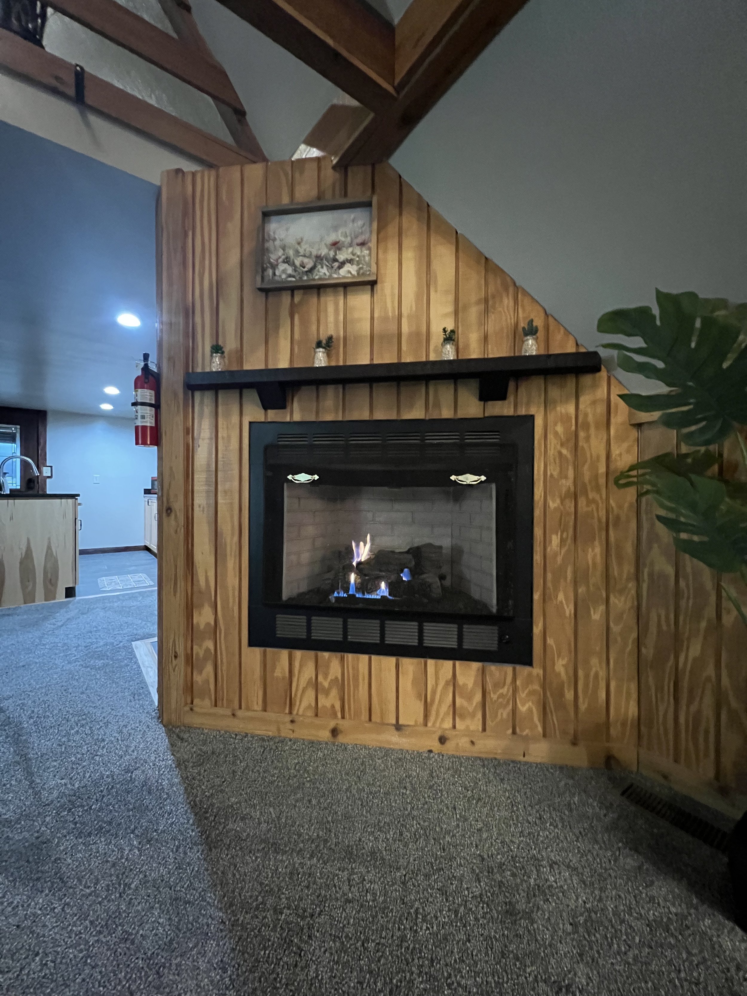 Interior of a living room featuring a fireplace with a wooden panel wall. Above the fireplace is a small shelf with four miniature potted plants. To the right of the fireplace is a large green plant. In the background, the kitchen and a fire extingui