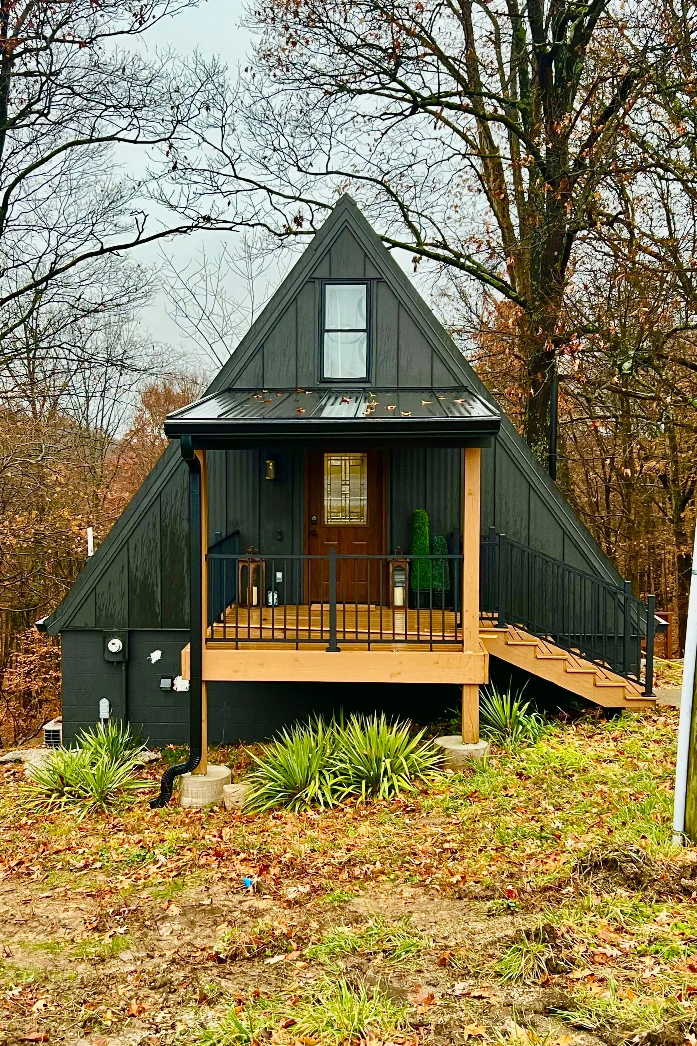 Front of a small, black wooden house with a steep triangular roof, a small front porch with stairs, and a large tree with bare branches behind it, surrounded by leafless trees and plants.