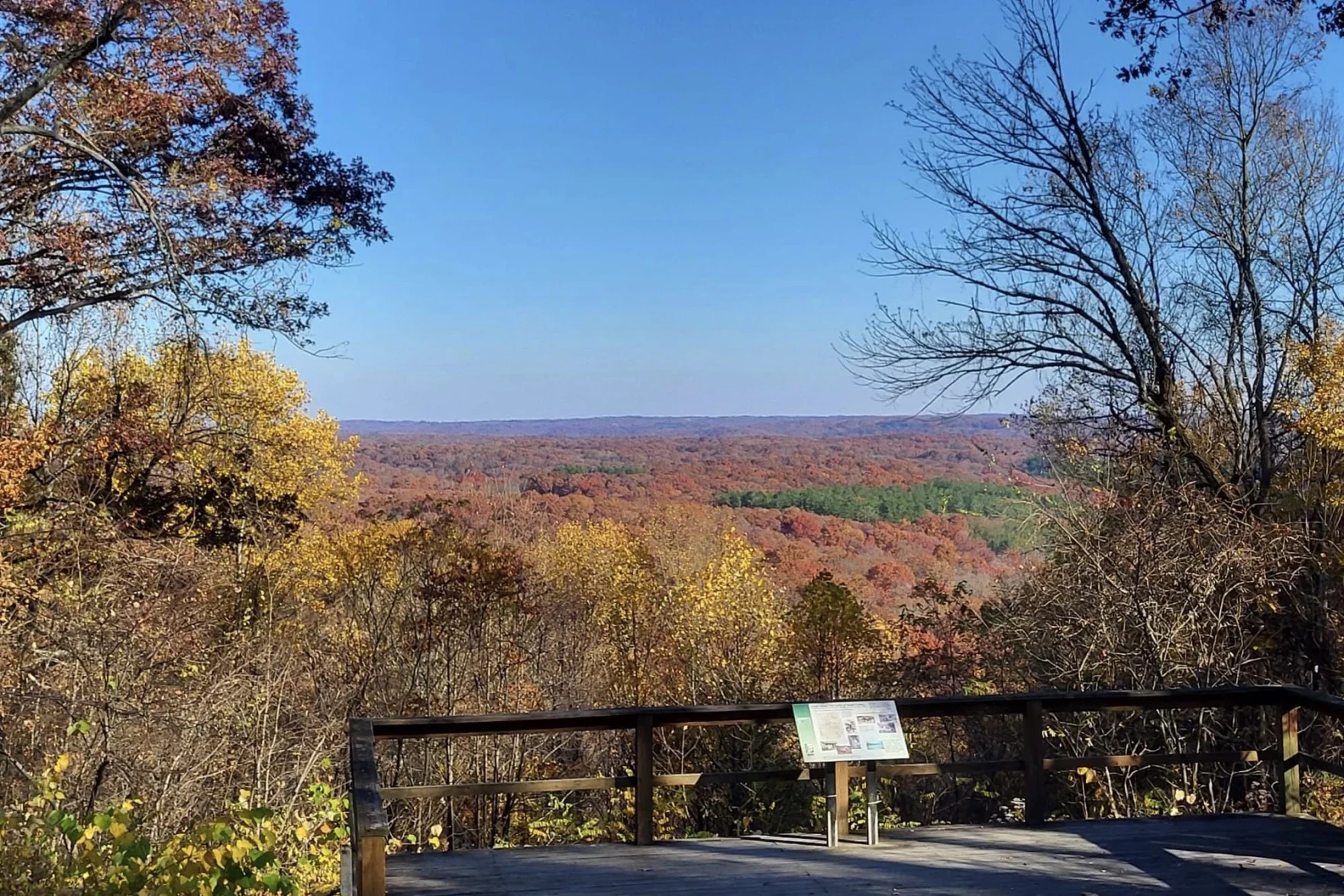 Scenic view of rolling hills covered in autumn trees with yellow, orange, and red foliage, under a clear blue sky, seen from a viewing platform with a wooden railing.