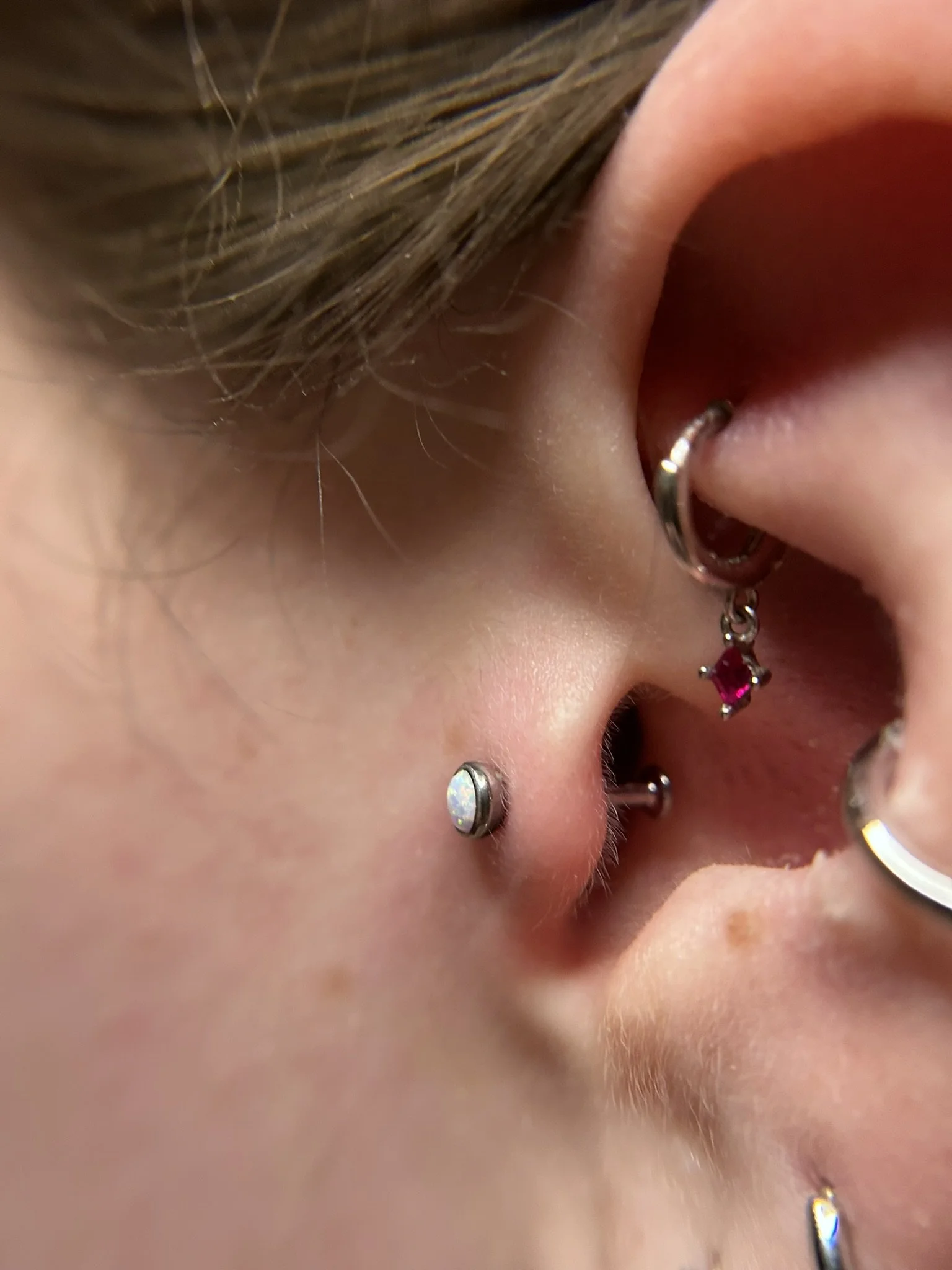 opal-tragus-ruby-daith.jpeg