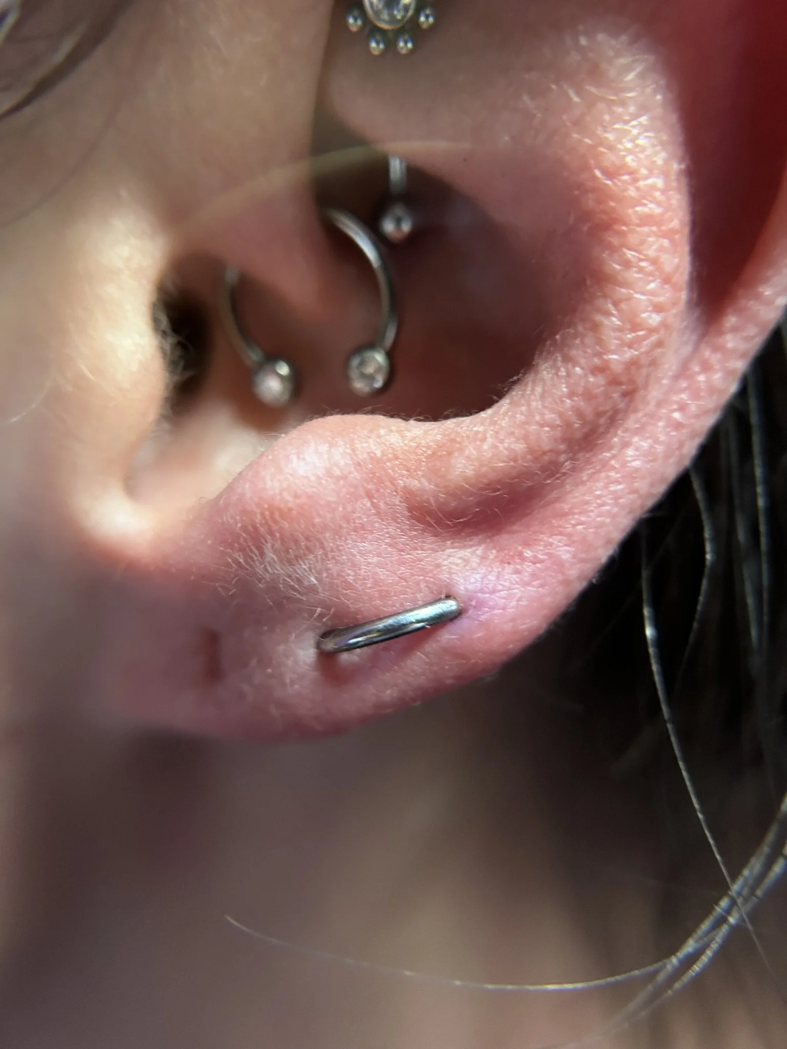 daith-lobe-combo.jpeg
