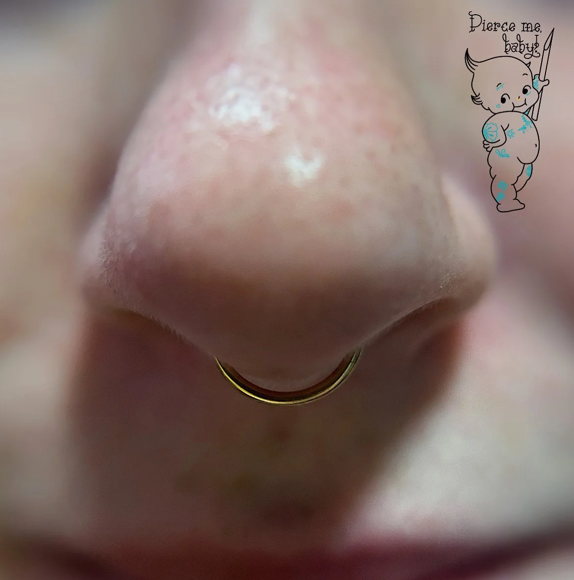 gold-septum-ring.jpeg