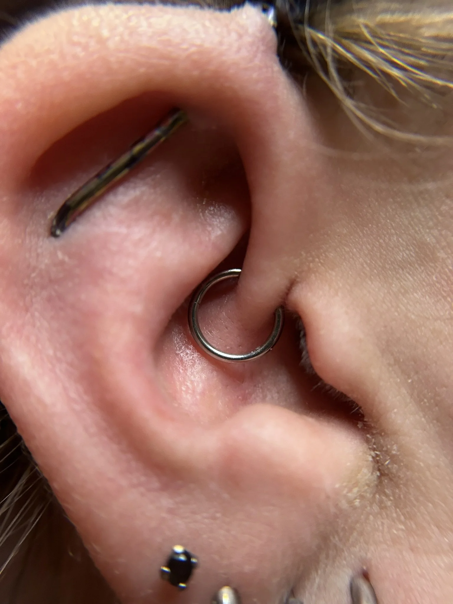 daith-hoop-piercing.jpeg