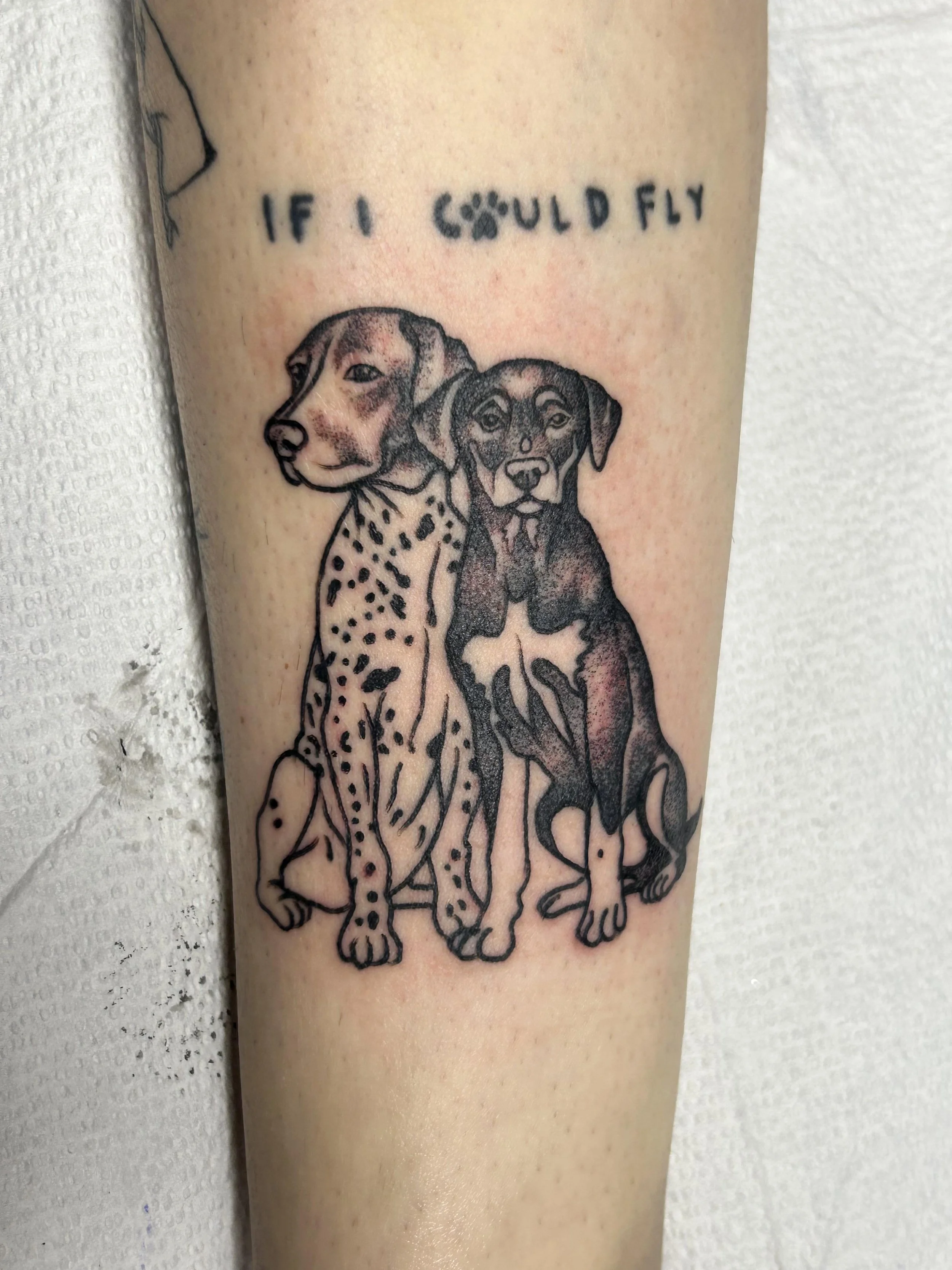 dogs-if-i-could-fly.jpeg