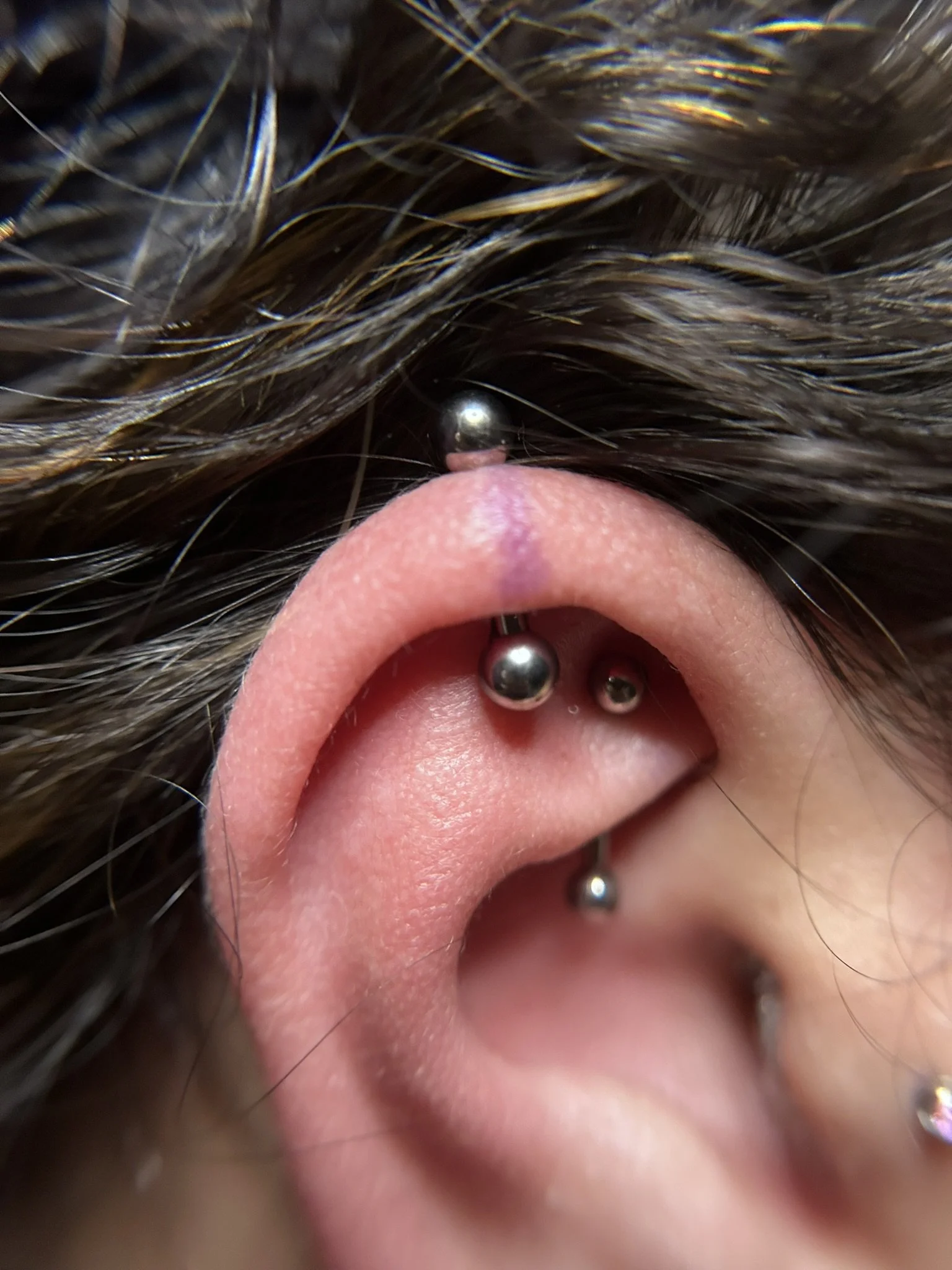 helix-forward-studs.jpeg