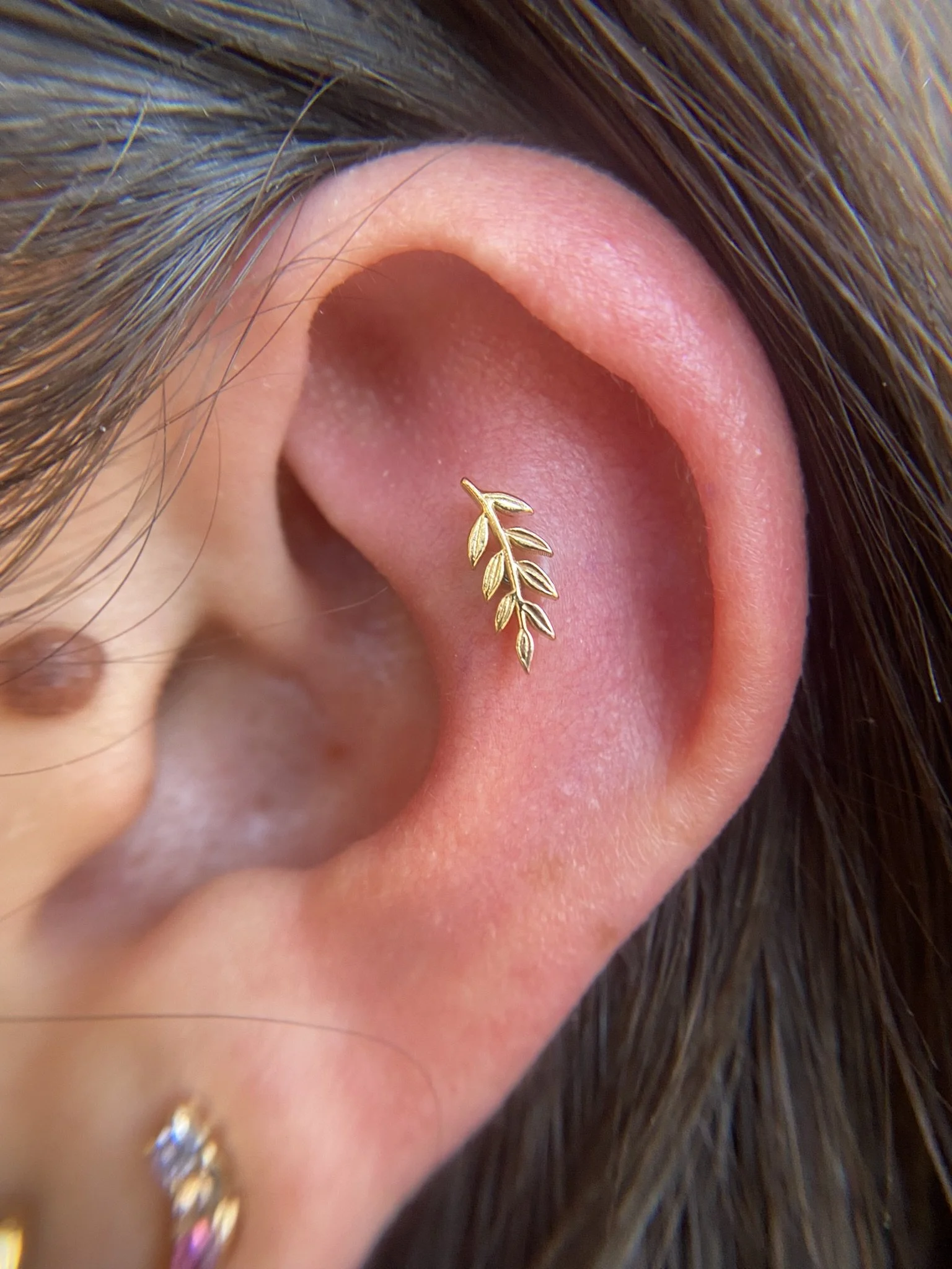 gold-leaf-conch.jpeg