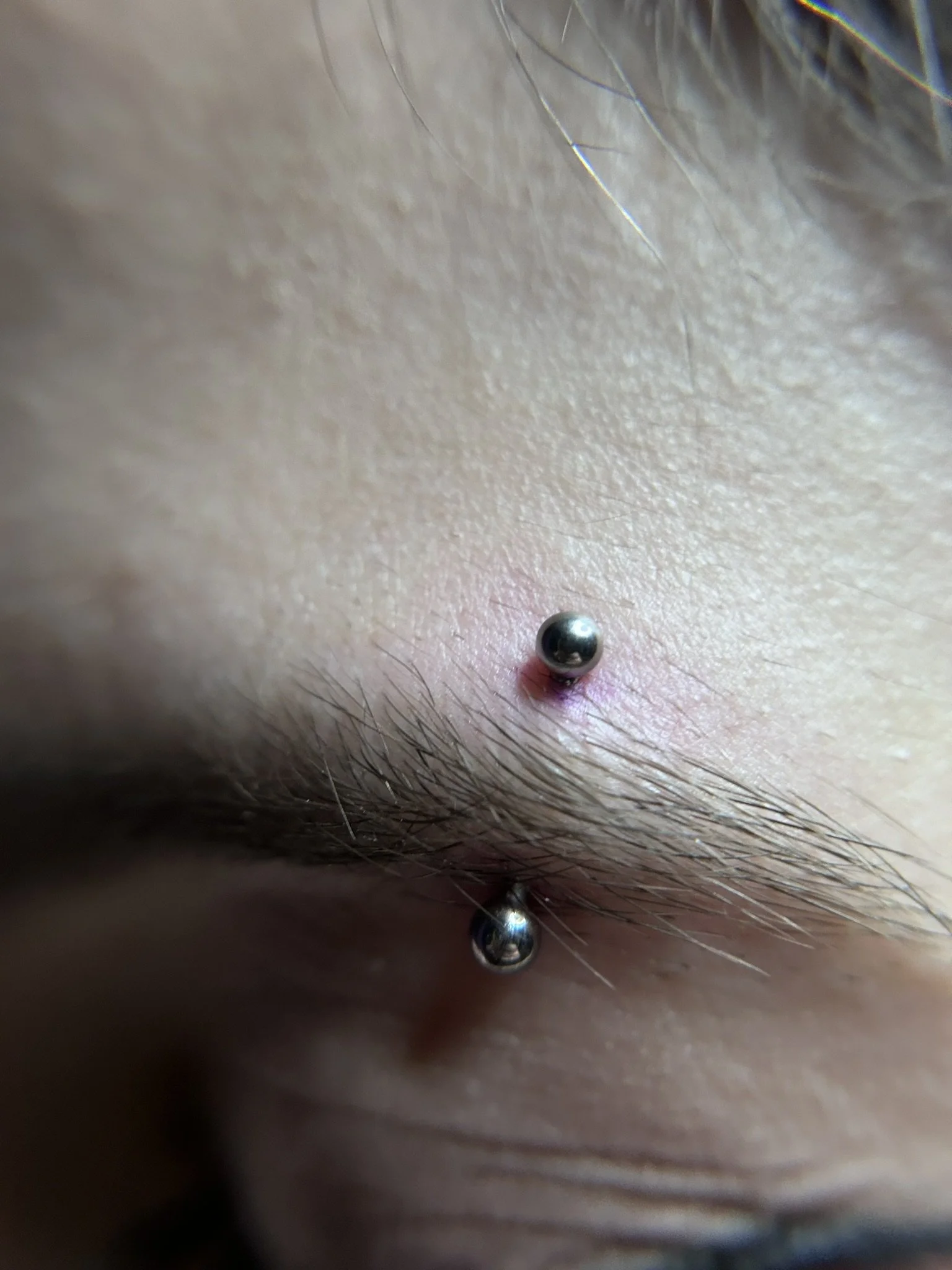 double-eyebrow-studs.jpeg