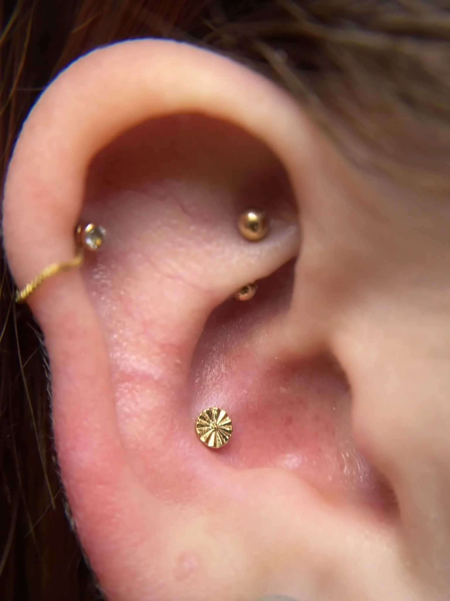 gold-conch-studs.jpeg