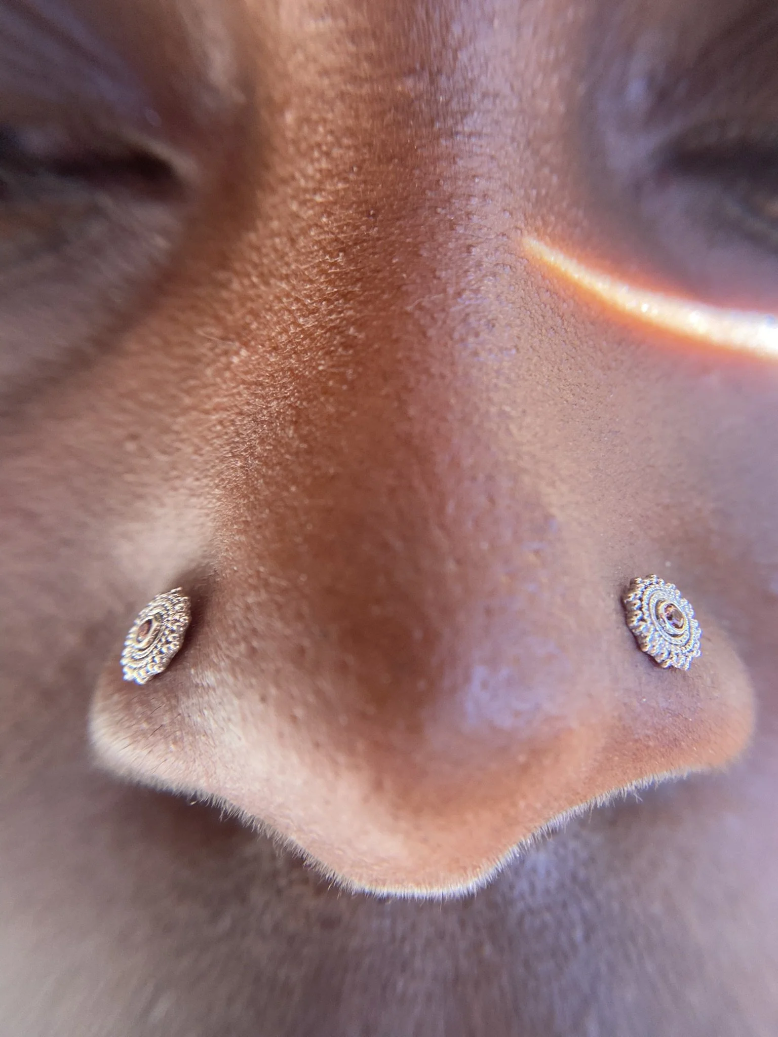 double-nostril-gold-studs.jpeg