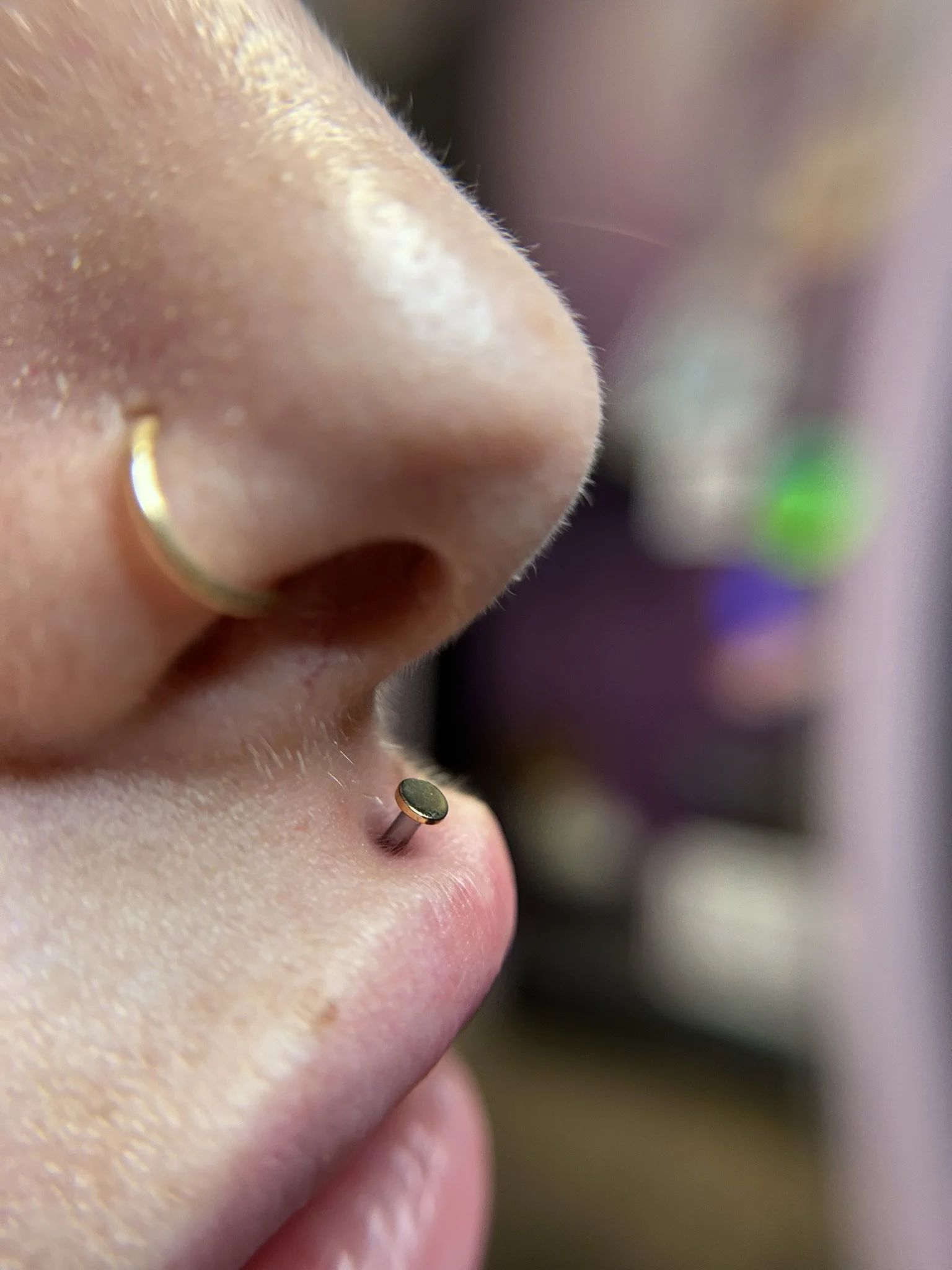 lip-nostril-gold.jpeg