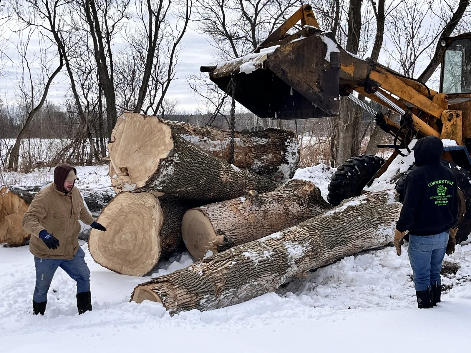 Vermont Tree Goods team handling large salvaged hardwood logs in winter, showing the scale and character of reclaimed timber