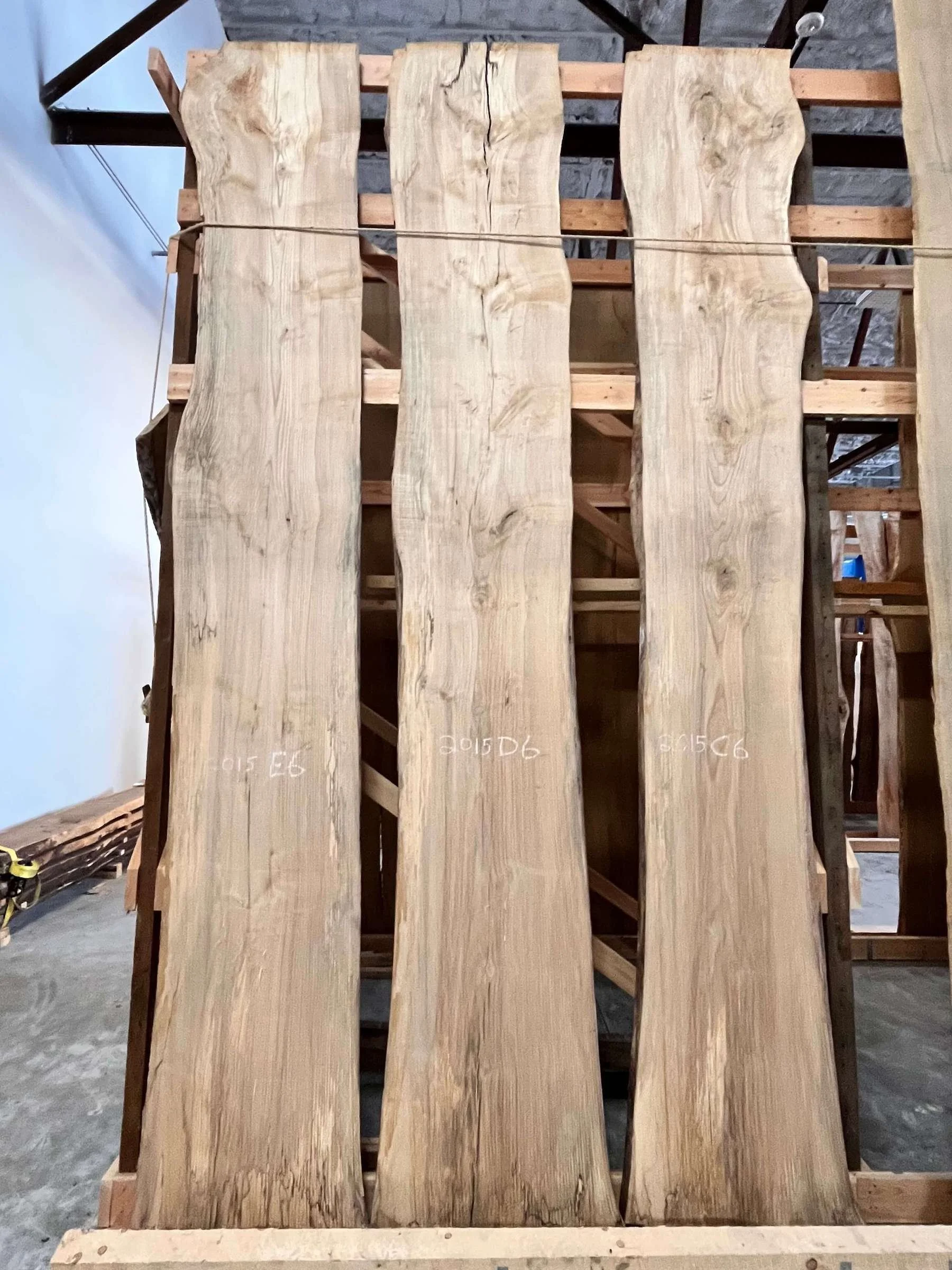 Four tall elm slabs leaned on a wooden frame in a live edge showroom.