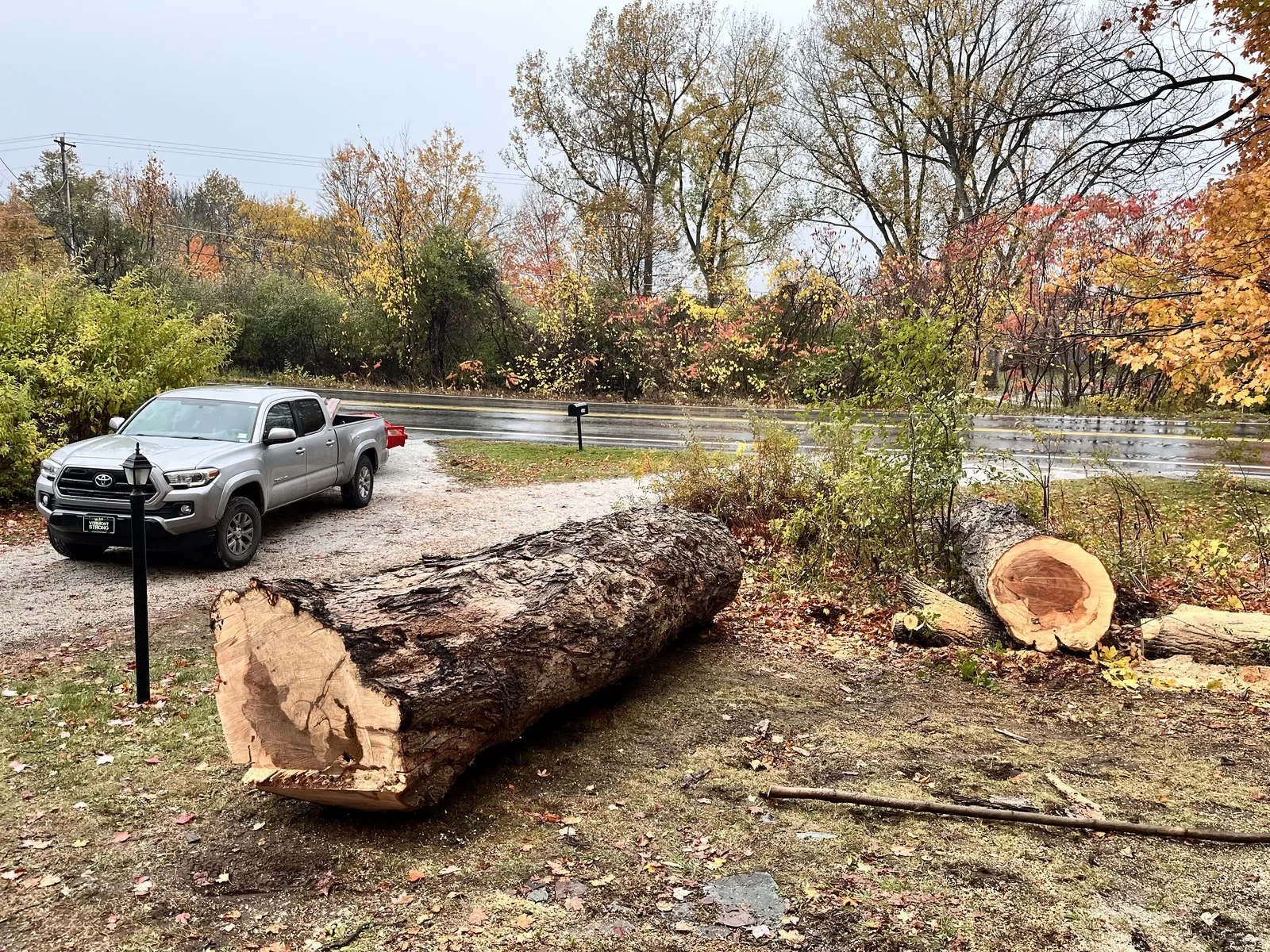 Salvaged hardwood logs collected from a Vermont roadside, ready to be reclaimed by Vermont Tree Goods