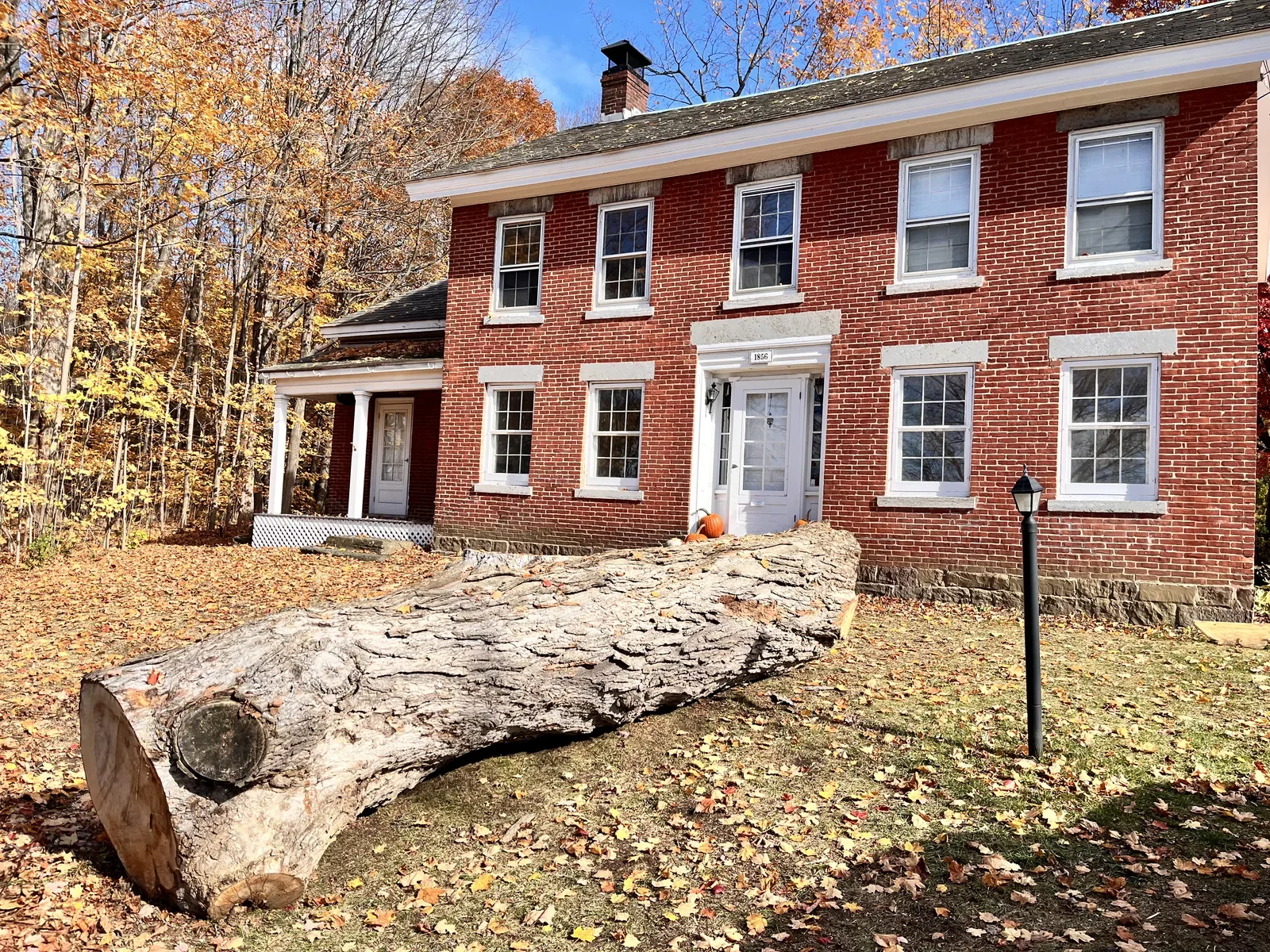 Large salvaged hardwood log in front of a New England colonial home, ready for reclamation by Vermont Tree Goods