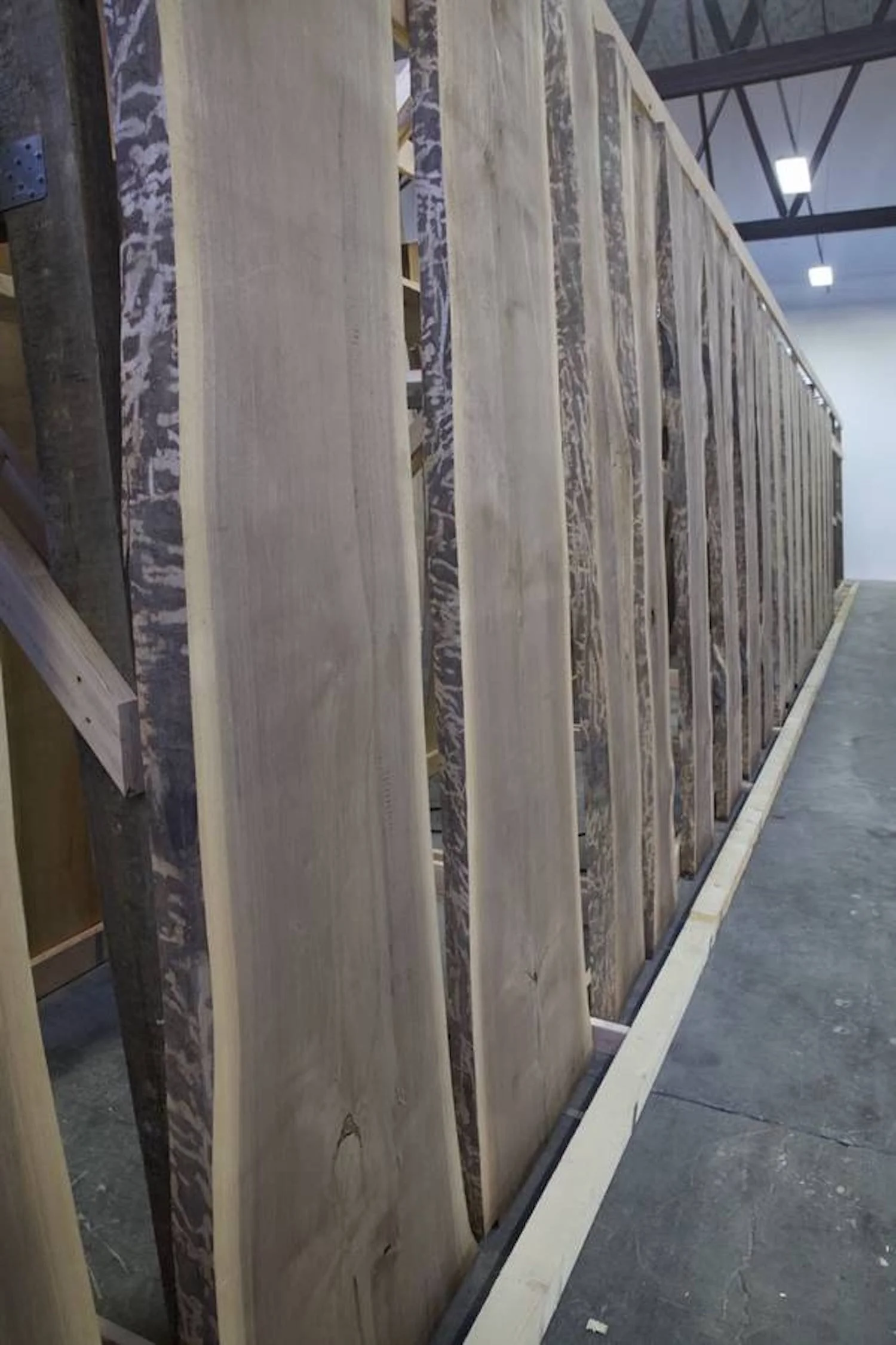 A long row of tall live edge walnut slabs displayed in VTGs showroom in Wallingford Connecticut.