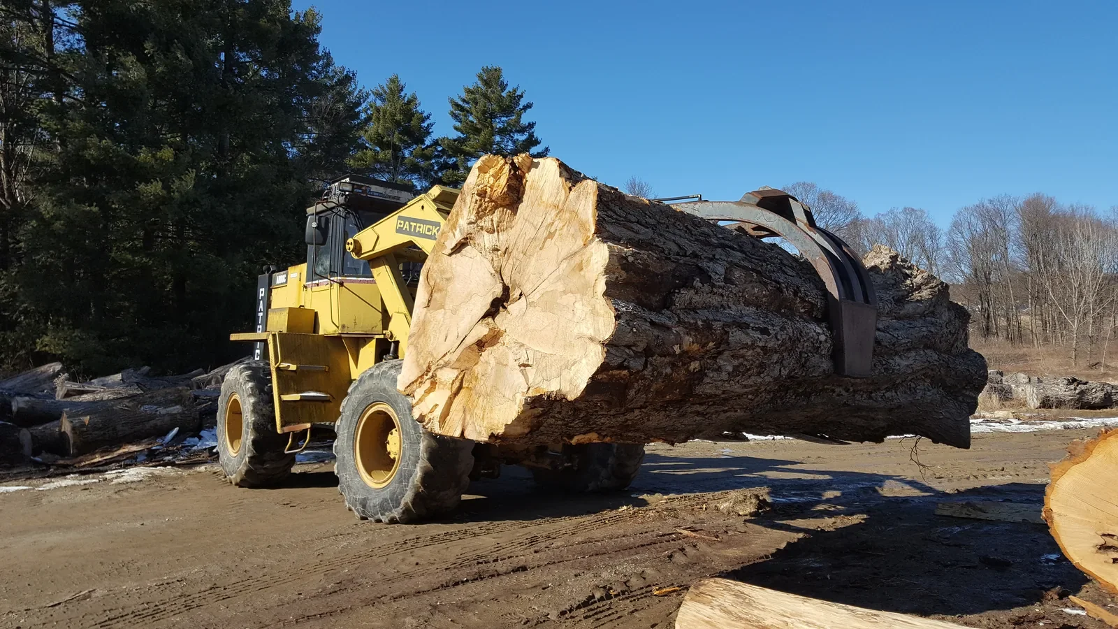 Vermont Tree Goods front loader moving a massive salvaged hardwood log at the milling yard