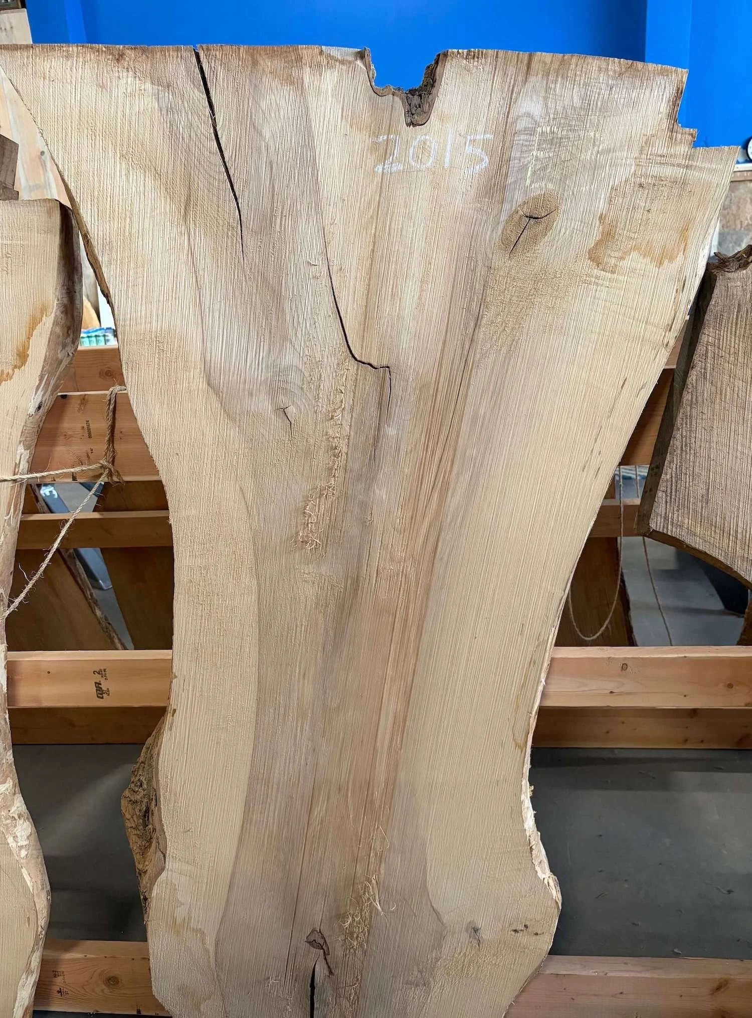 A splayed butternut slab with beautiful curving edges and multiple colors of natural grain.