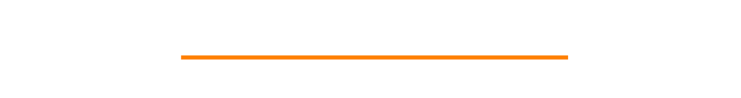 Vanguard Vigilance Consulting