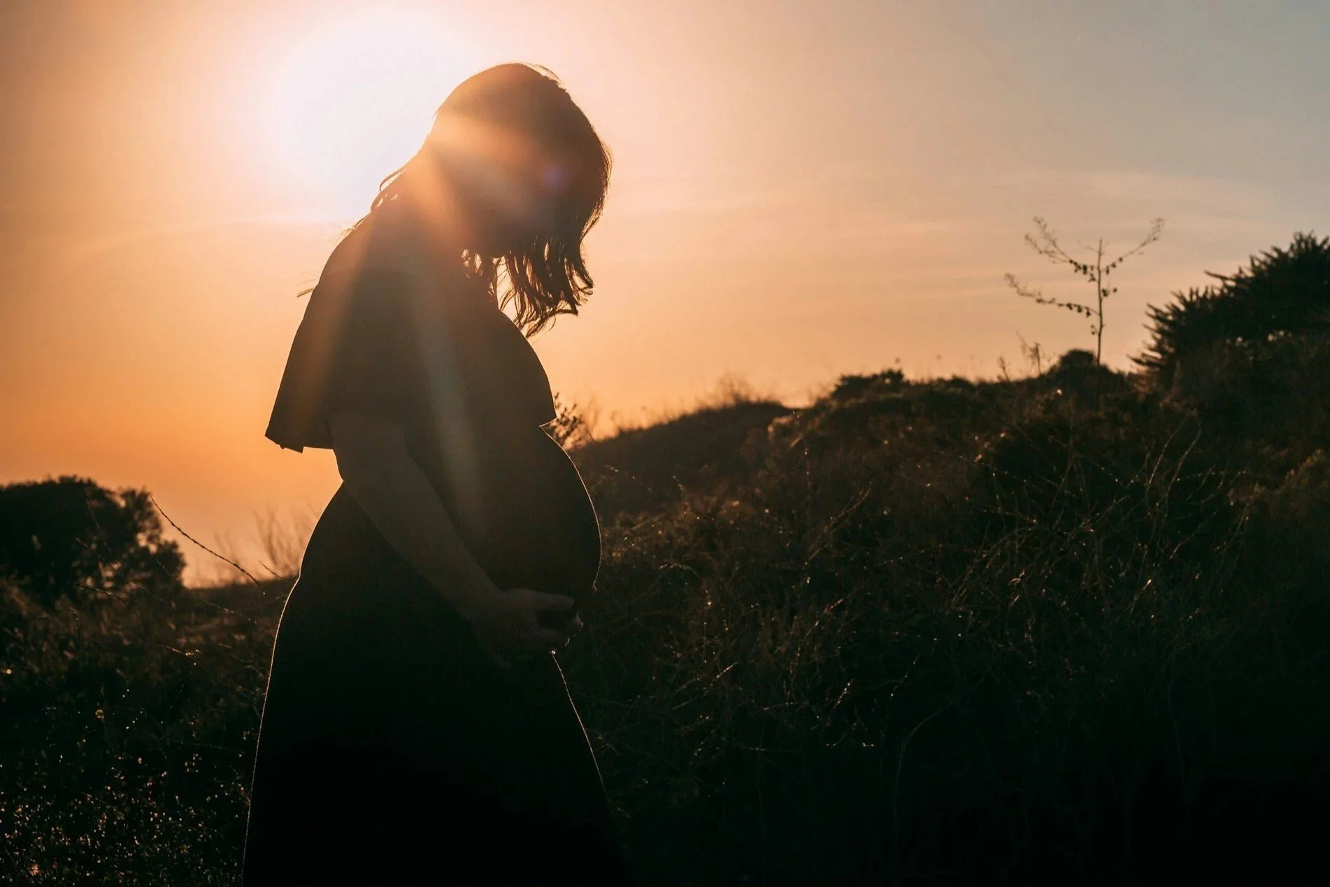 Silhouette of a pregnant woman standing outdoors during sunset, with her hands on her belly, surrounded by plants and hills.