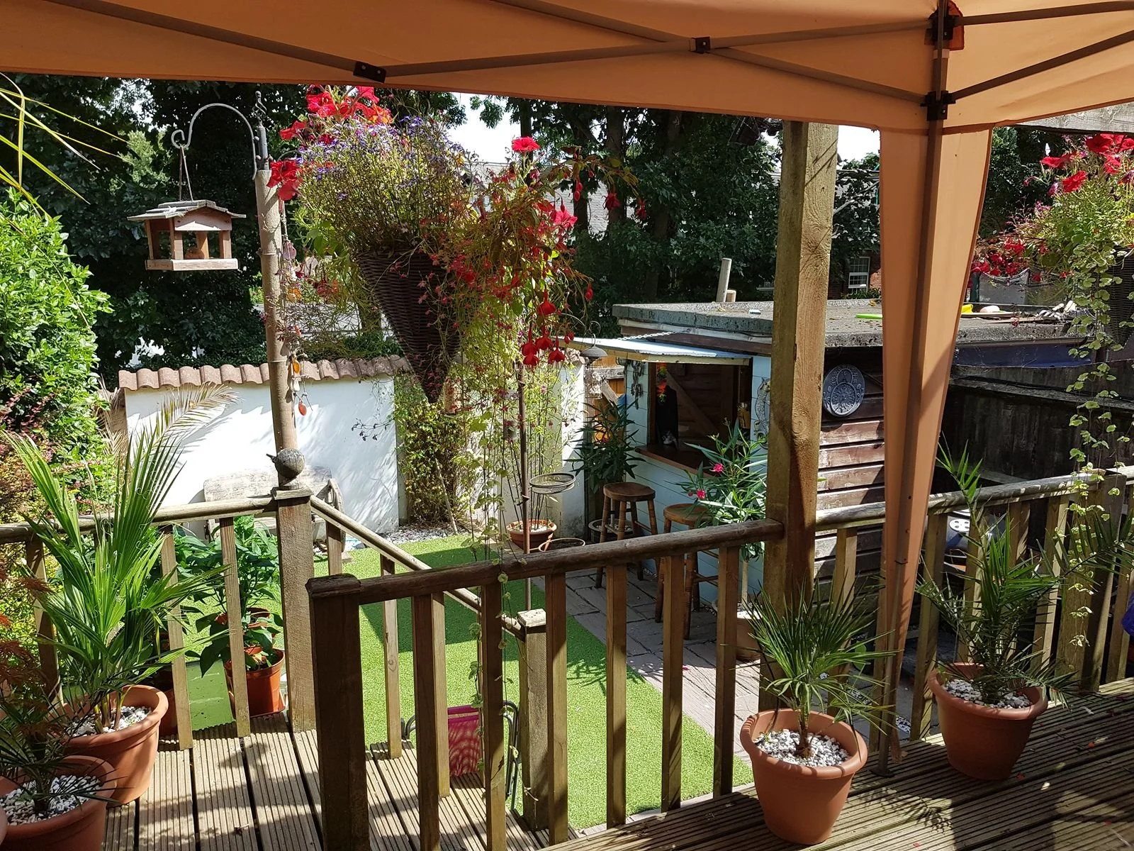 20180726_150157.jpg